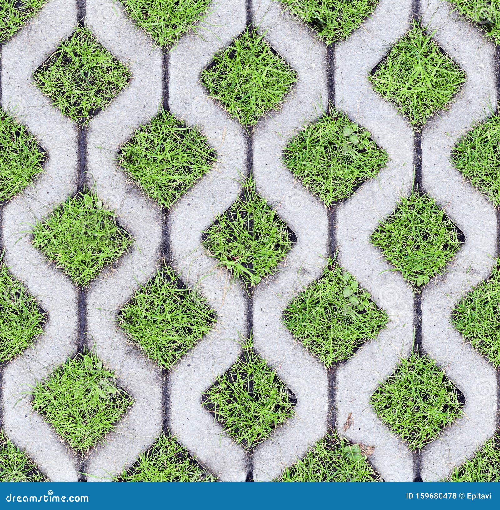 Environnement Urbain Vert Photo Stock Image Du Protection