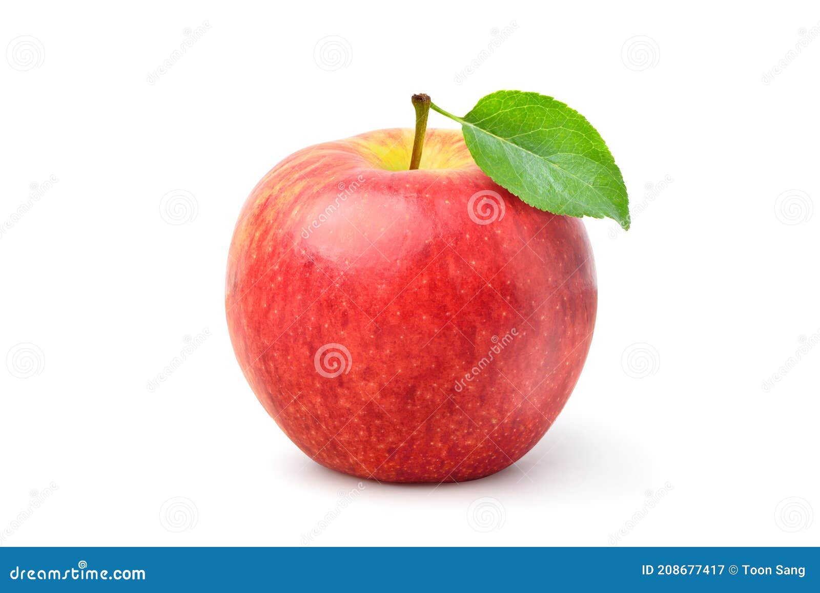 Envy apple with leaf stock image. Image of diet, harvest 208677417