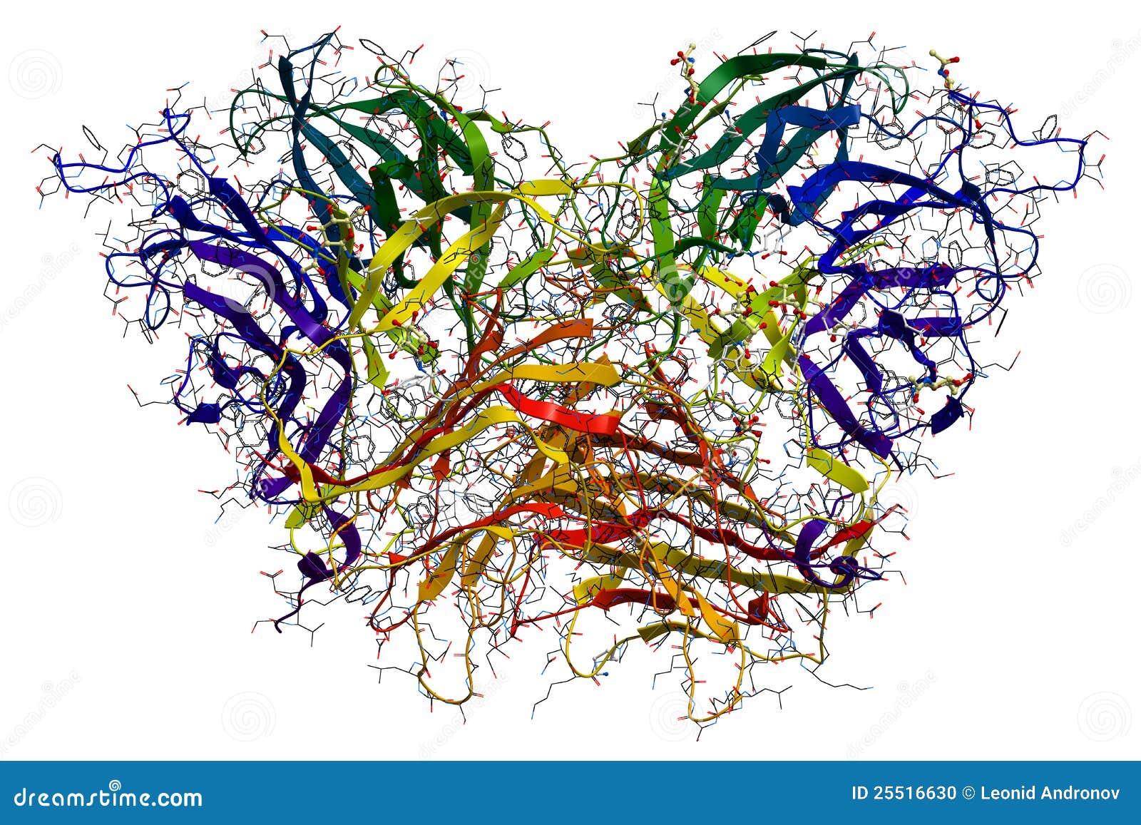 enzyme invertase 3d view