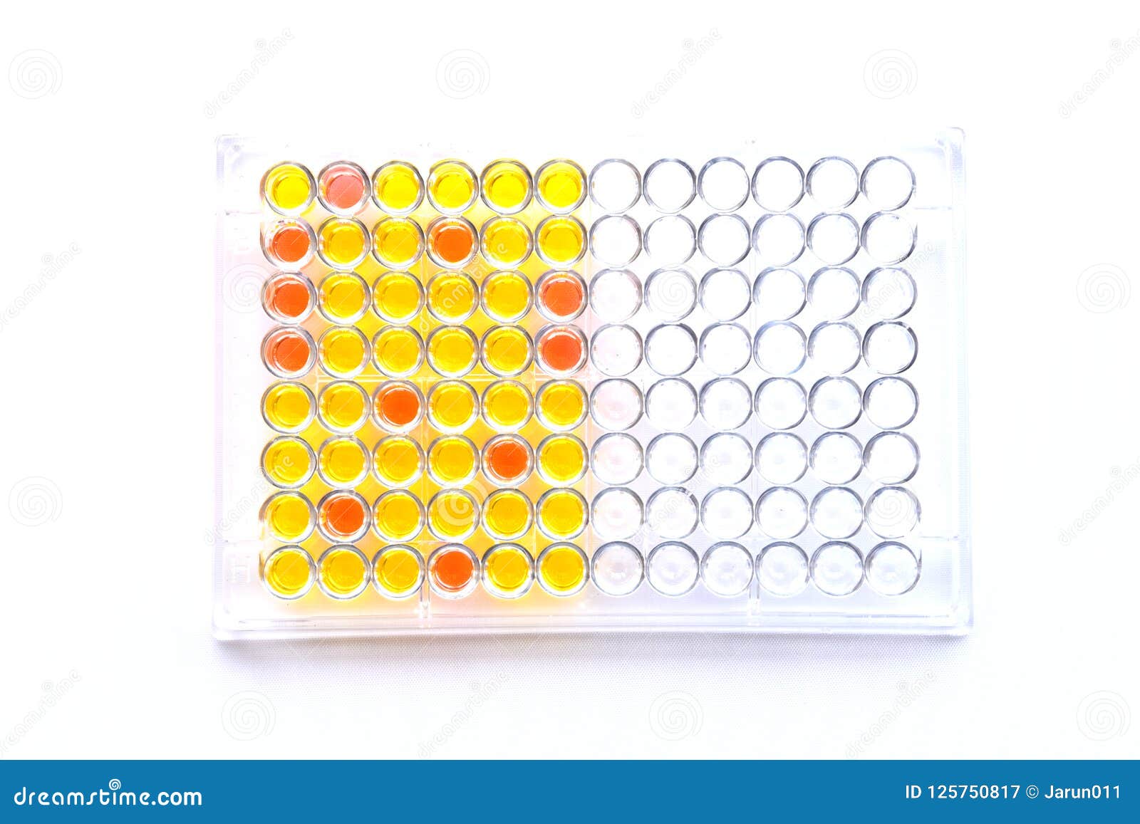 enzyme-linked-immunosorbent-assay-or-elisa-plate-royalty-free-stock