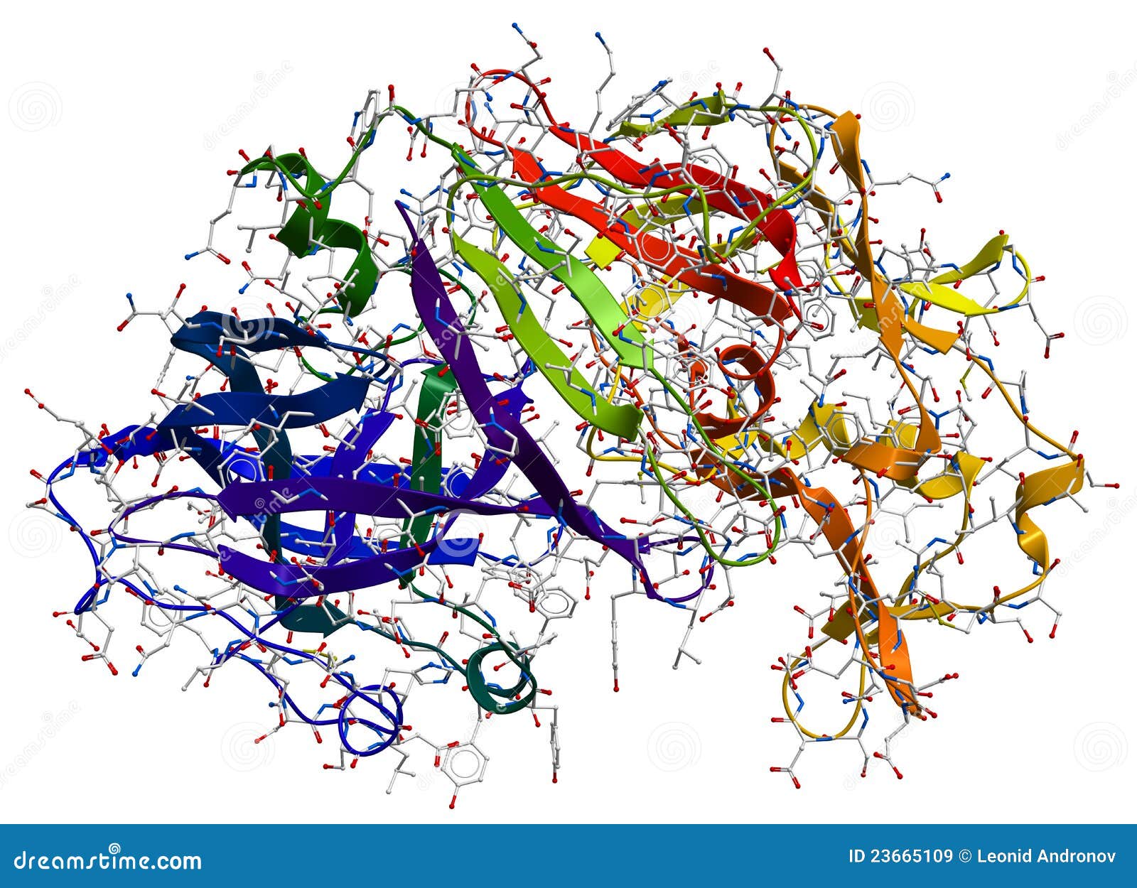 enzyme pepsin 3d model