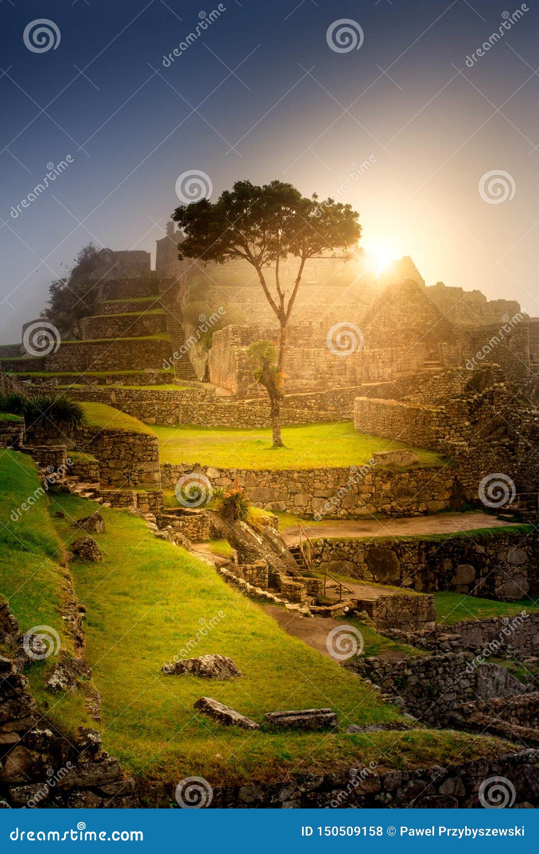 A Luz Da Madrugada Em Machu Picchu Ilustração Stock - Ilustração de calmo,  noite: 274376286