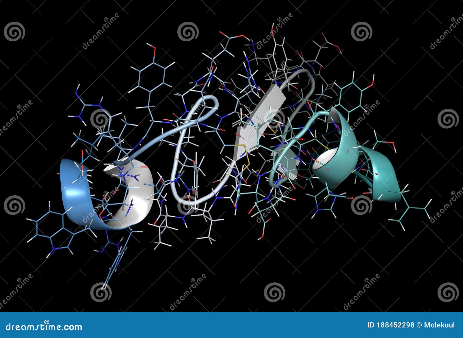 Epidermal Growth Factor (EGF) Signaling Protein Molecule. Cartoon