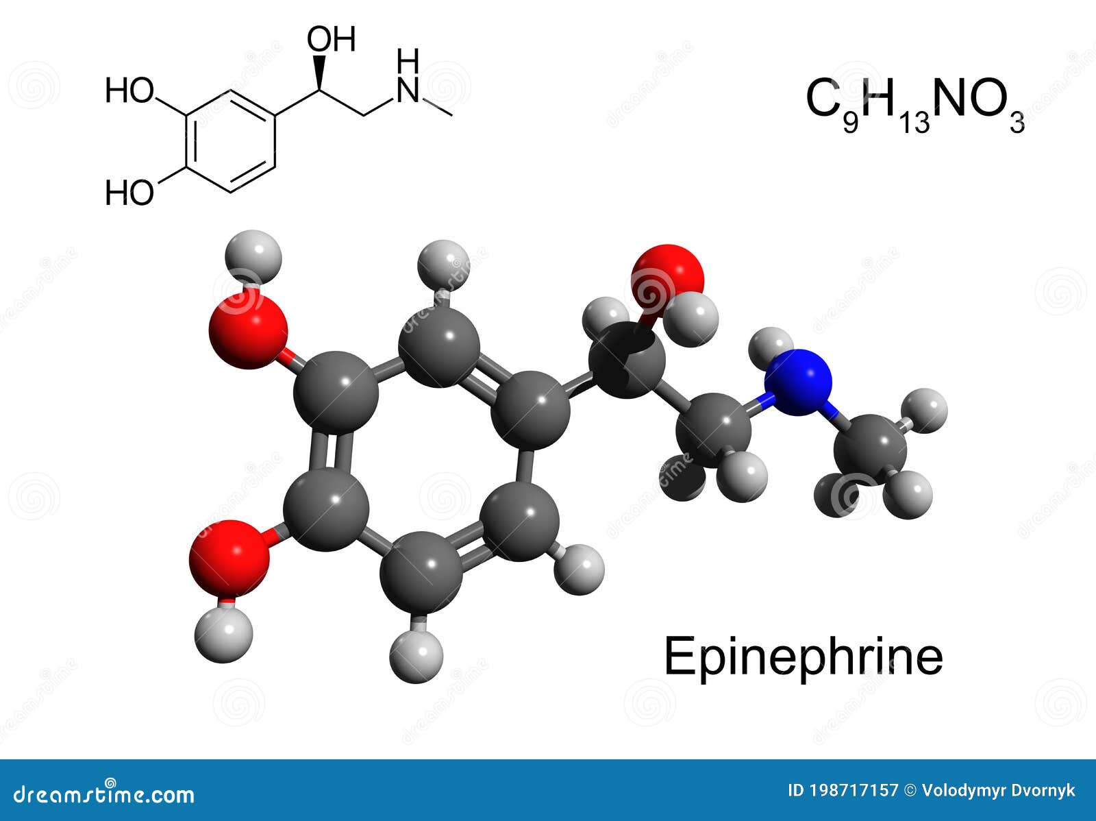 chemical formula, structural formula and 3d ball-and-stick model of epinephrine
