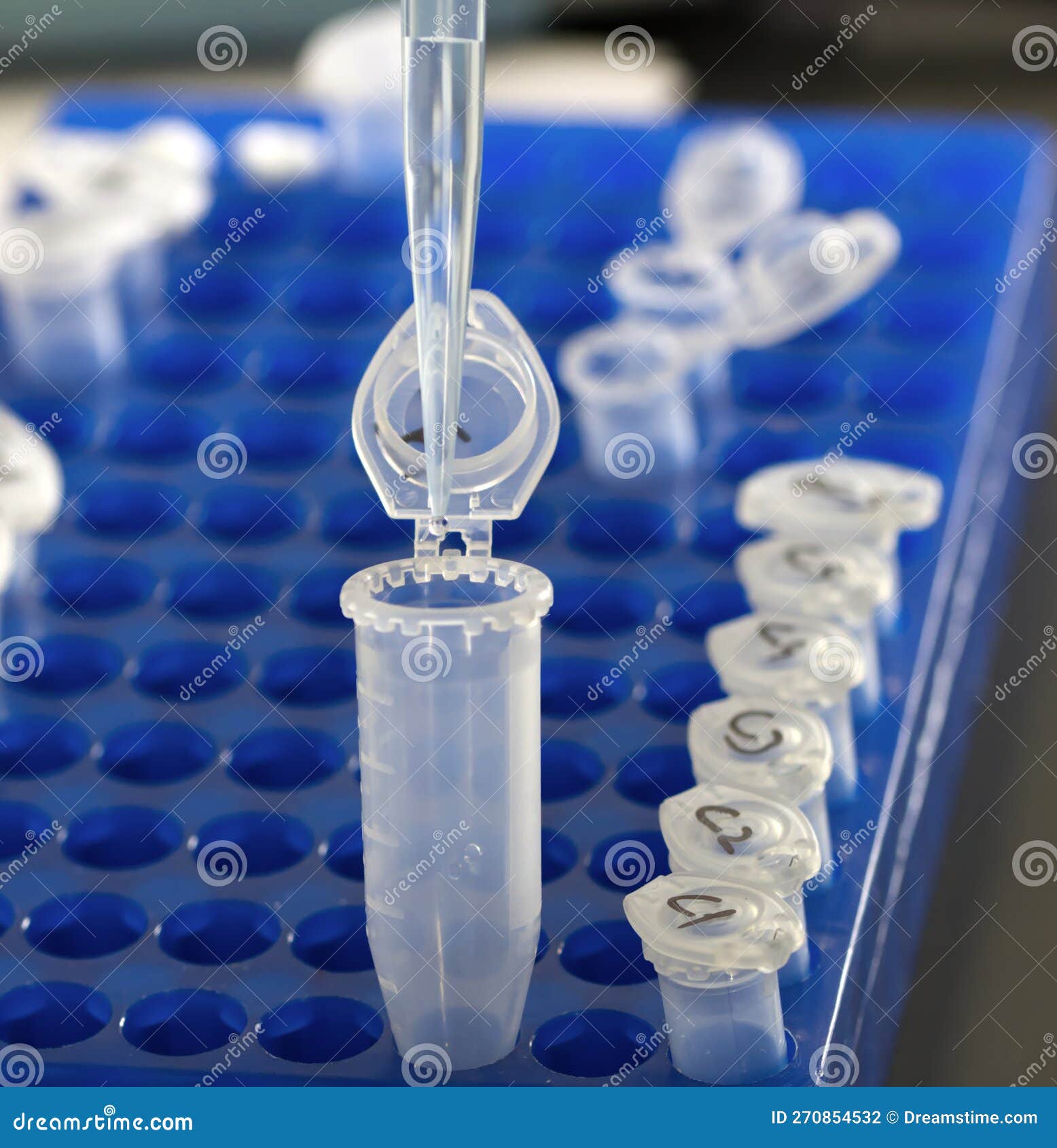 Eppendorf Tubes on the Rack and Pipette. Close Up in Blue Tone Stock