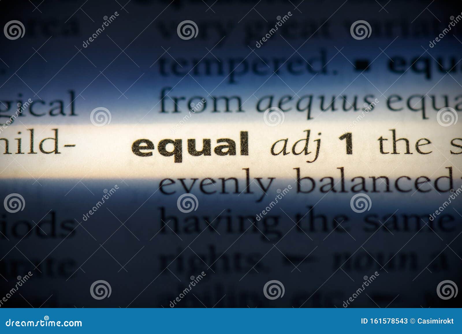 intellectual equal synonym intellectual equal synonym