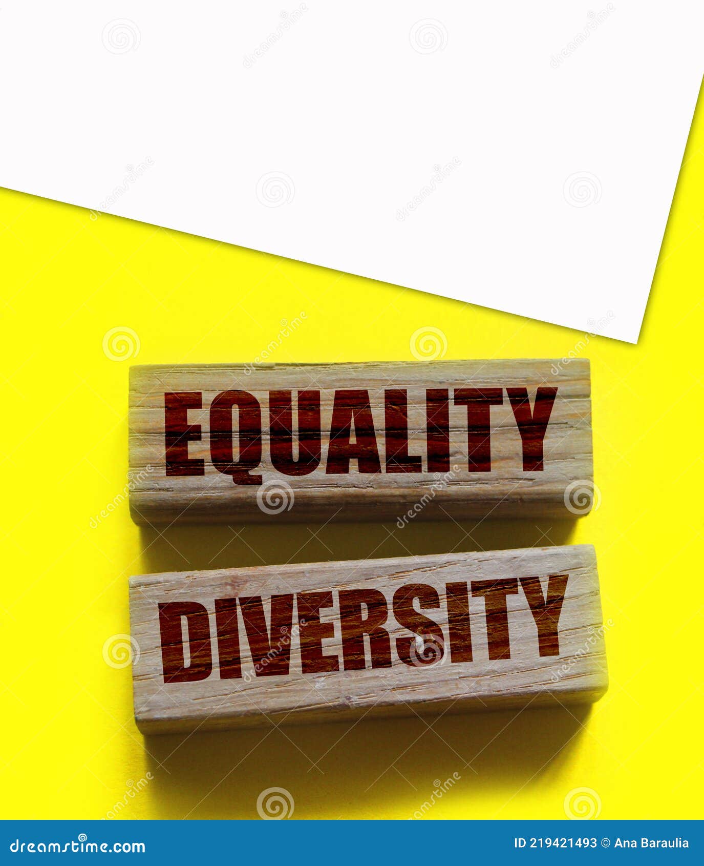 equality diversity words written on wood blocks. etolerance inclusion social and business concept