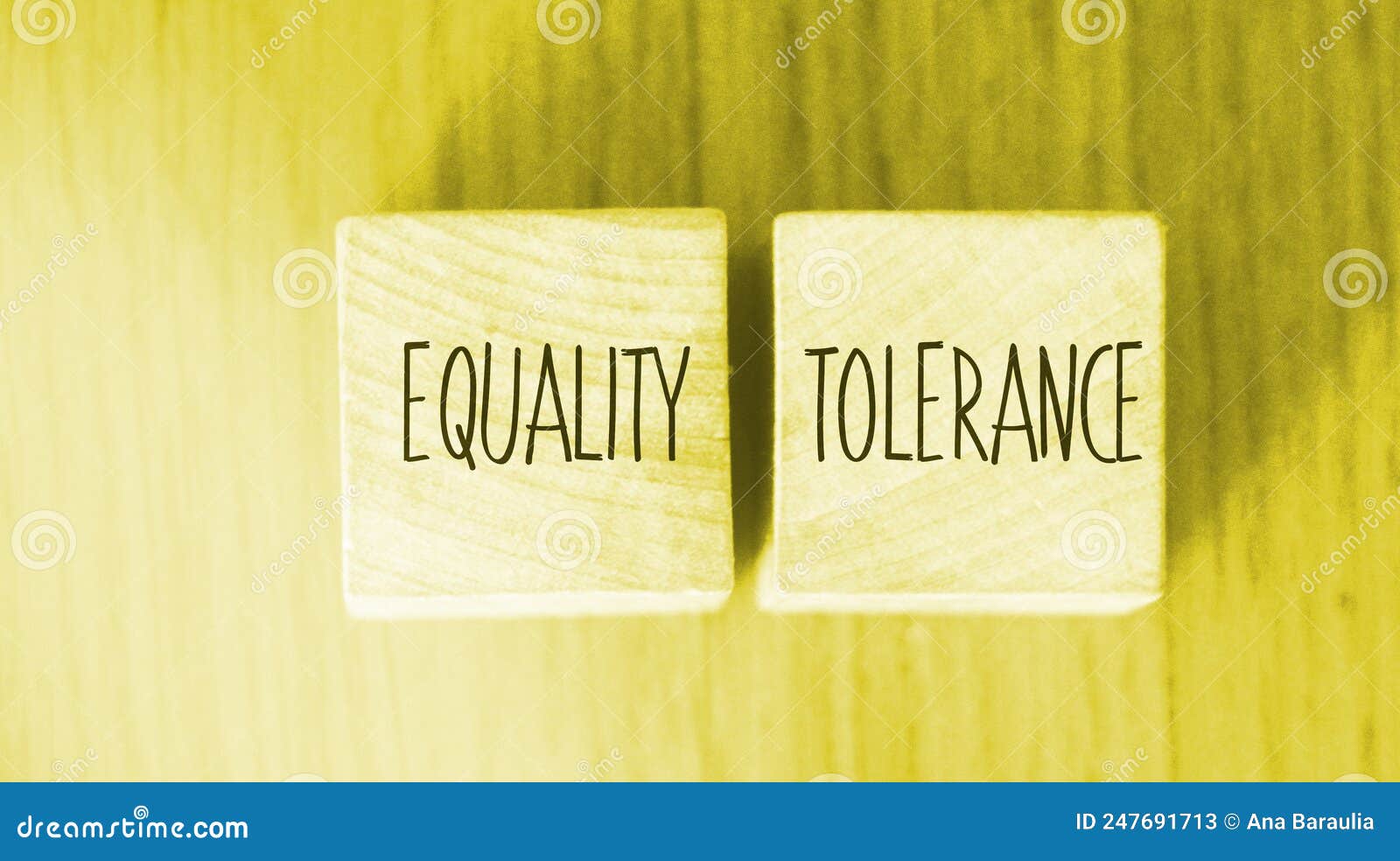 equality tolerance words written on wood blocks. equal rights inclusion social and business concept