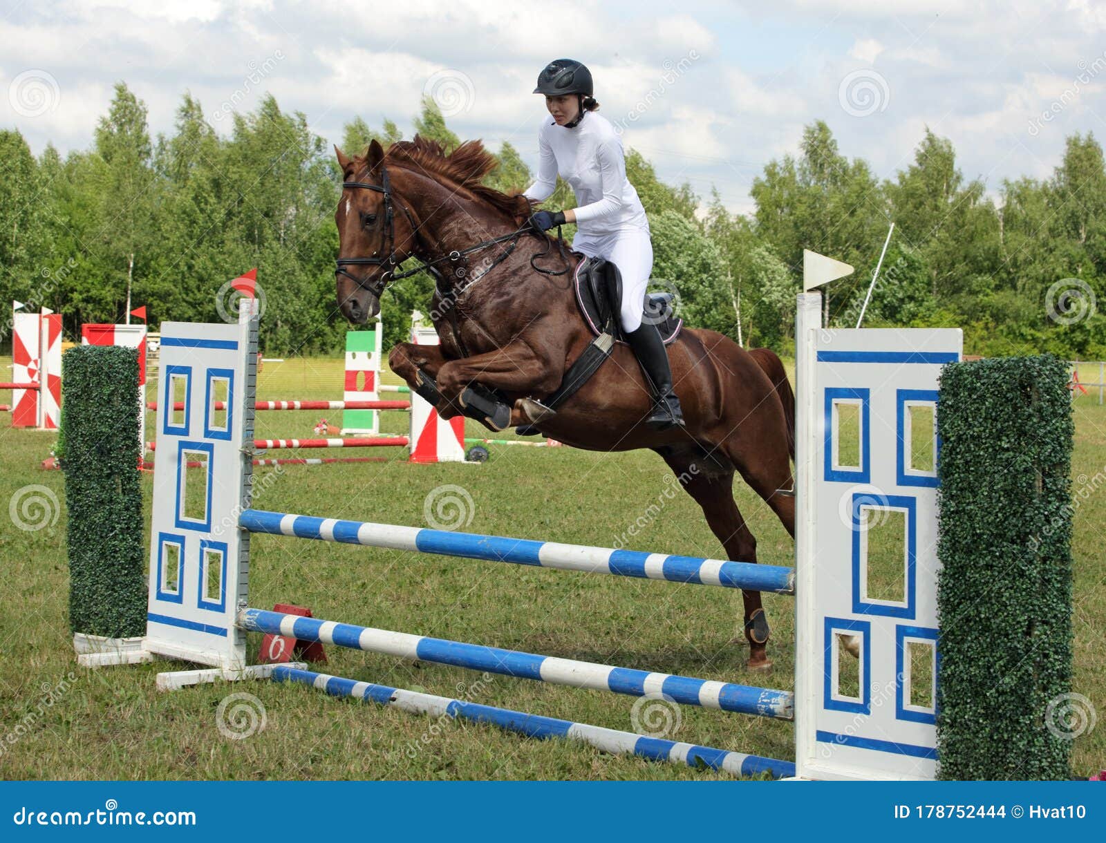 Cavalo esportivo pulando de estilo