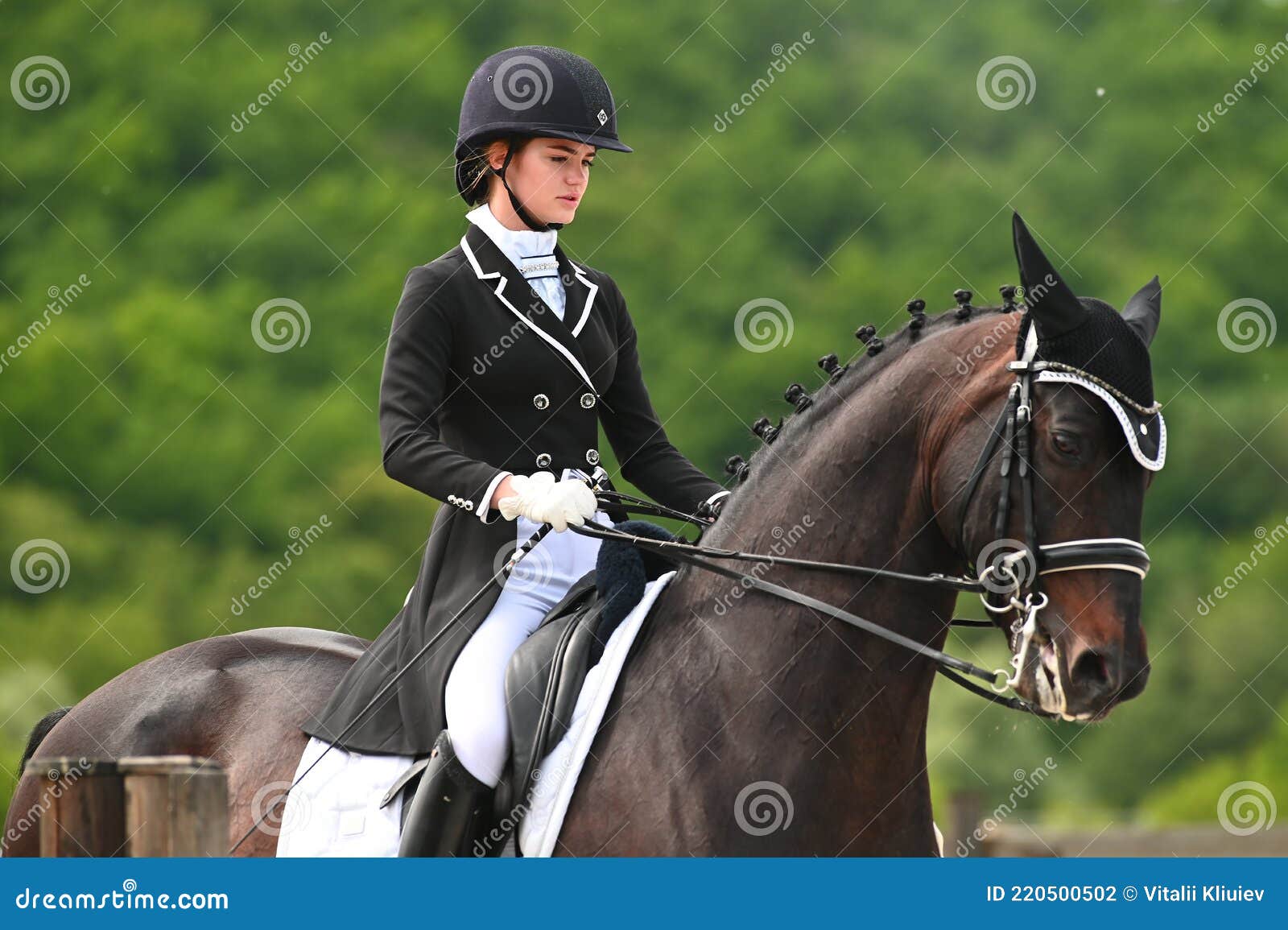 The Equestrian FEI Dressage World Cup Kharkiv 2021 Editorial