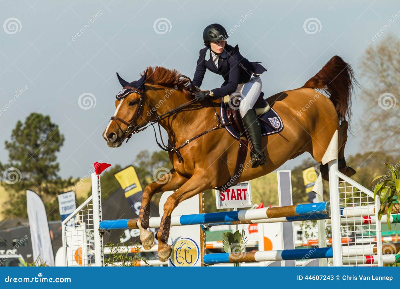 close-up pernas de cavalo esporte em show jumping na arena à luz do sol  evento de salto de cavalo, show jumping sports. 7074303 Foto de stock no  Vecteezy