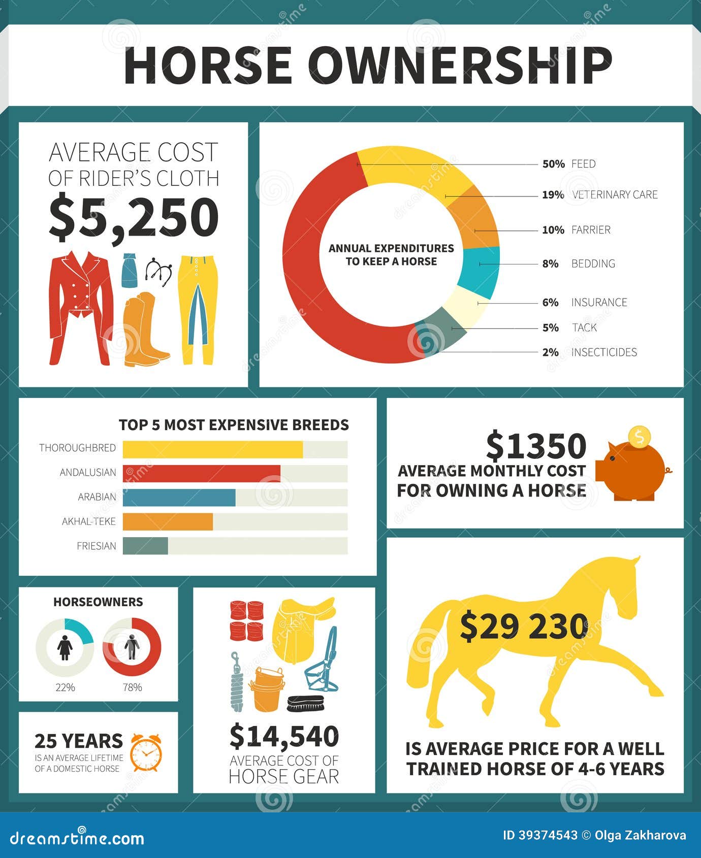 Equestrian infographic stock vector. Illustration of graphics 39374543