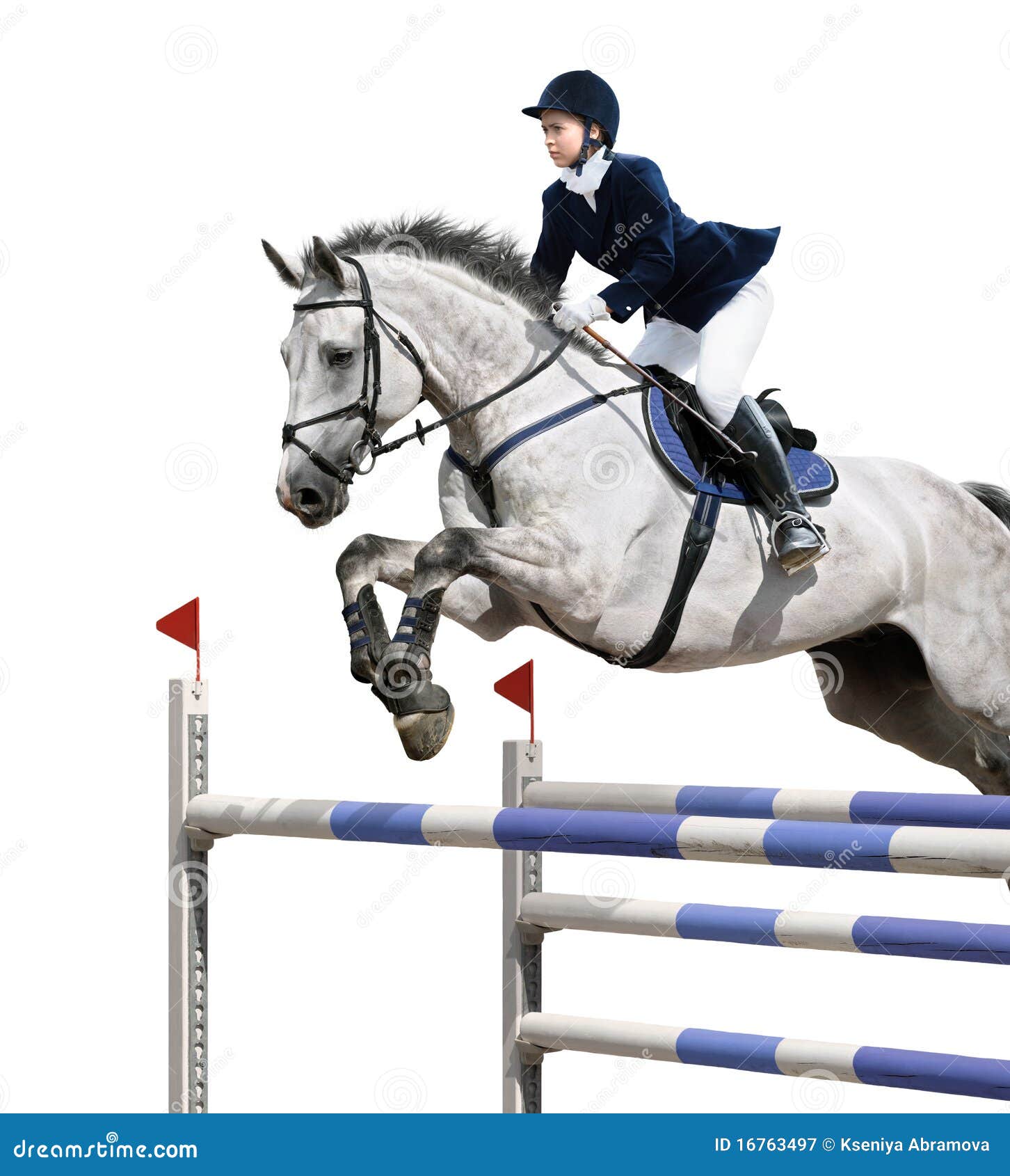 Equestrian jumper stock image. Image of equine, showjumping 16763497