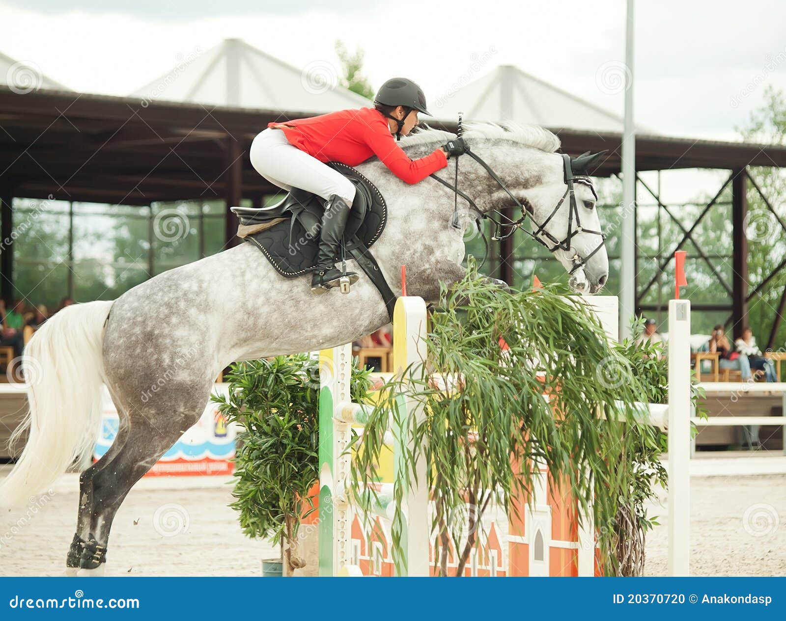 Equestrian jumping sport editorial image. Image of equestrian 20370720