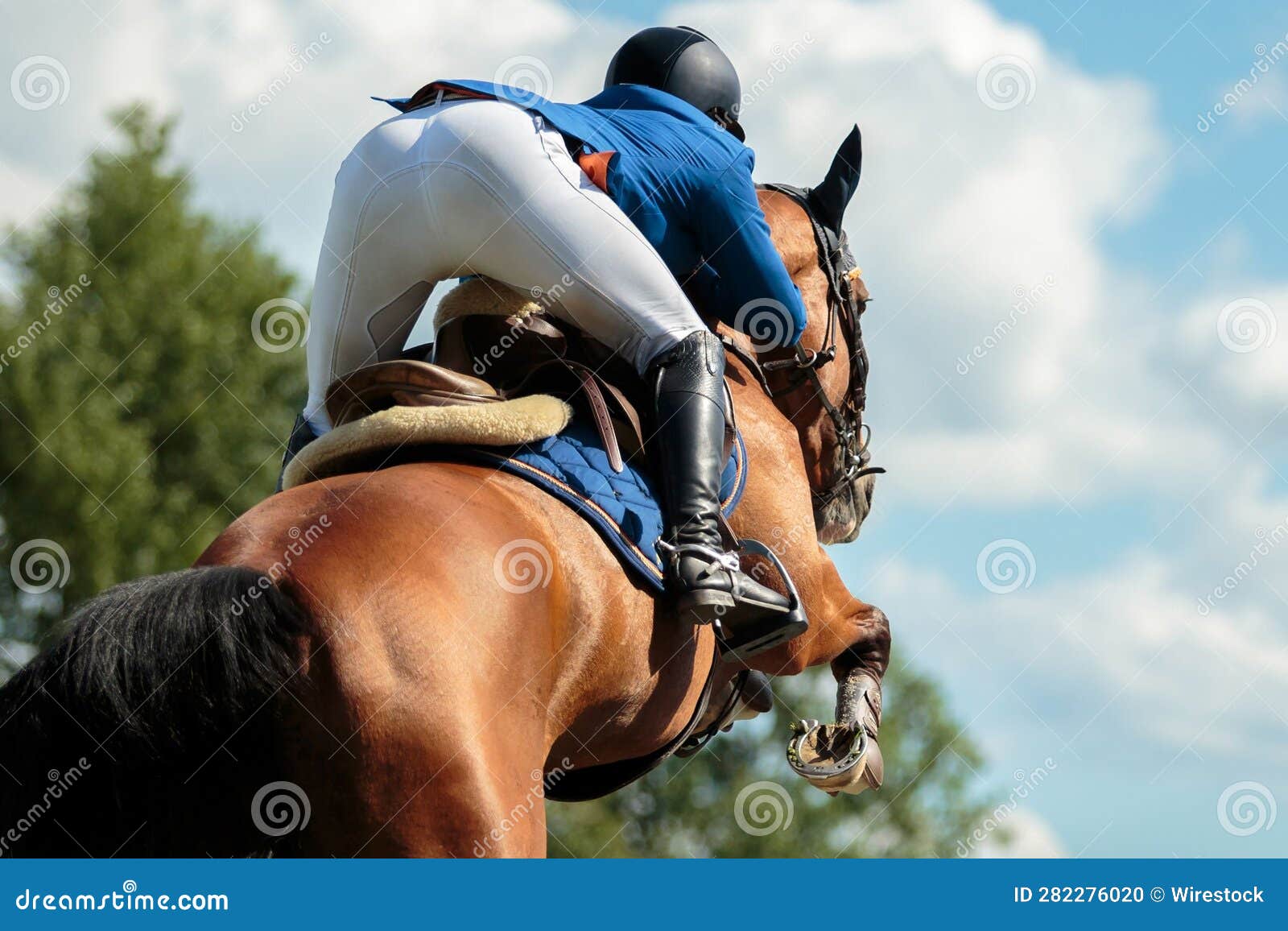 Equestrian Riding a Brown Horse. Stock Photo Image of active, jumping 282276020