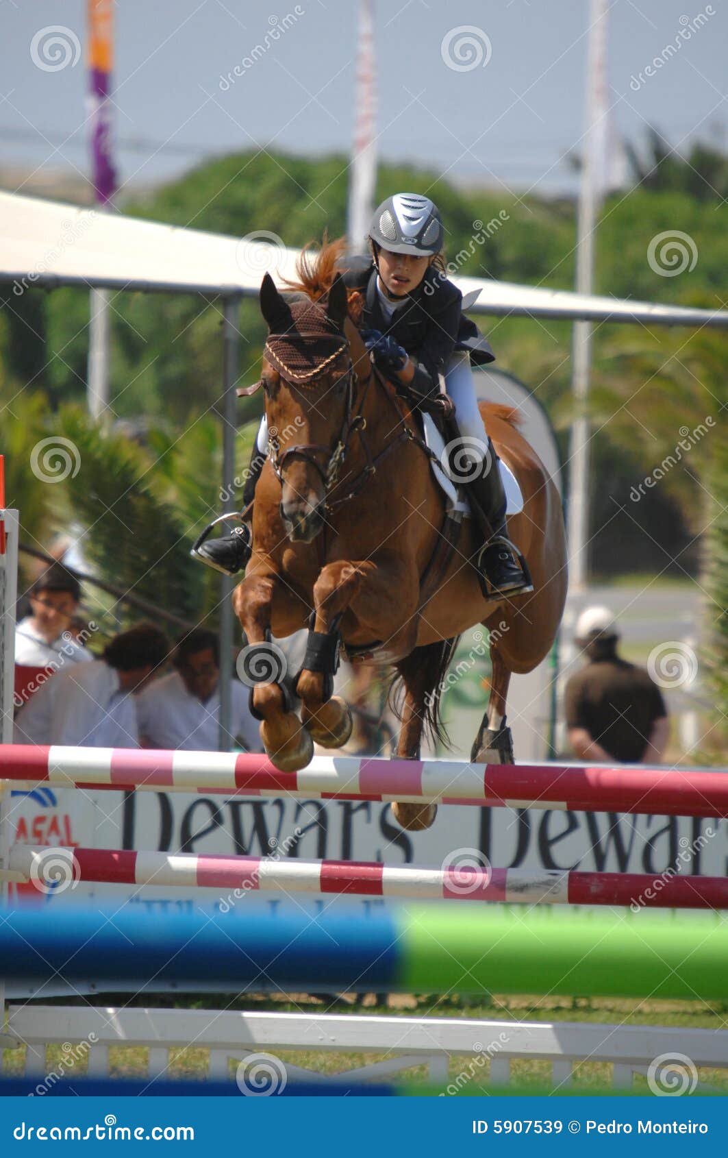 Equestrian Show Jumping editorial stock image. Image of horseback 5907539