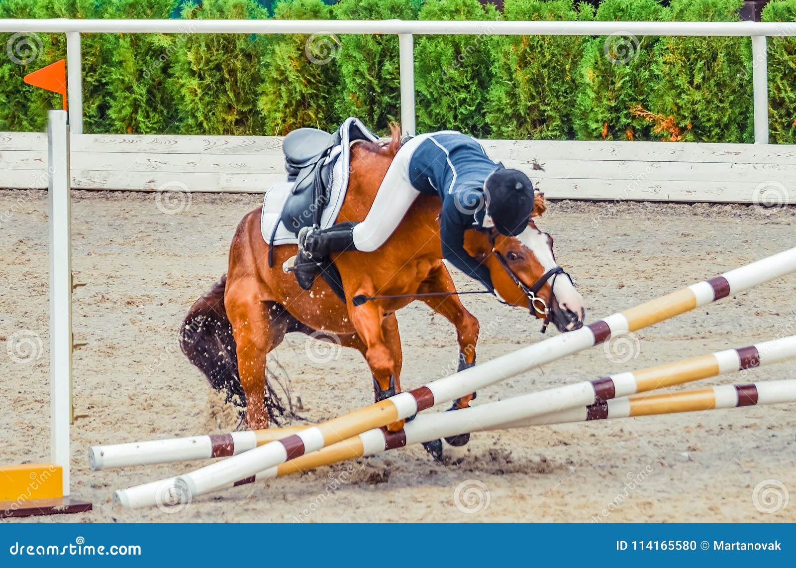 young rider falling from horse during a competition. horse show jumping accident.