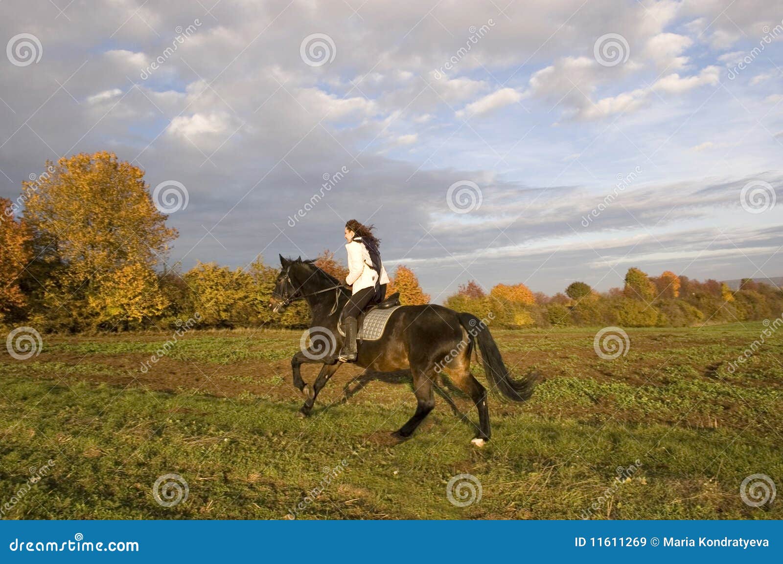 Equestrienne rides. stock image. Image of activity, female - 11611269