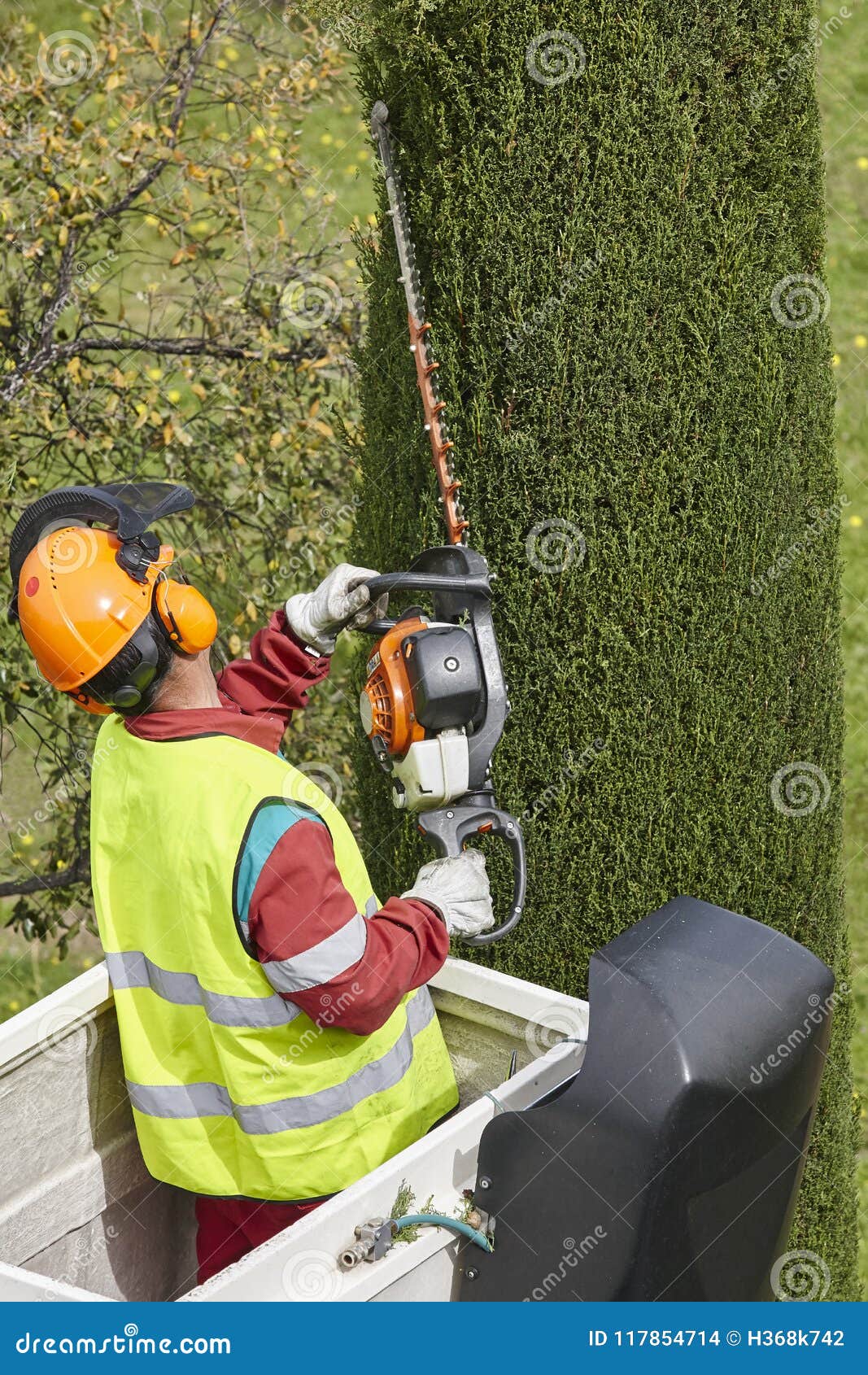 Equiped Worker Pruning a Tree on a Crane. Gardening Editorial Stock