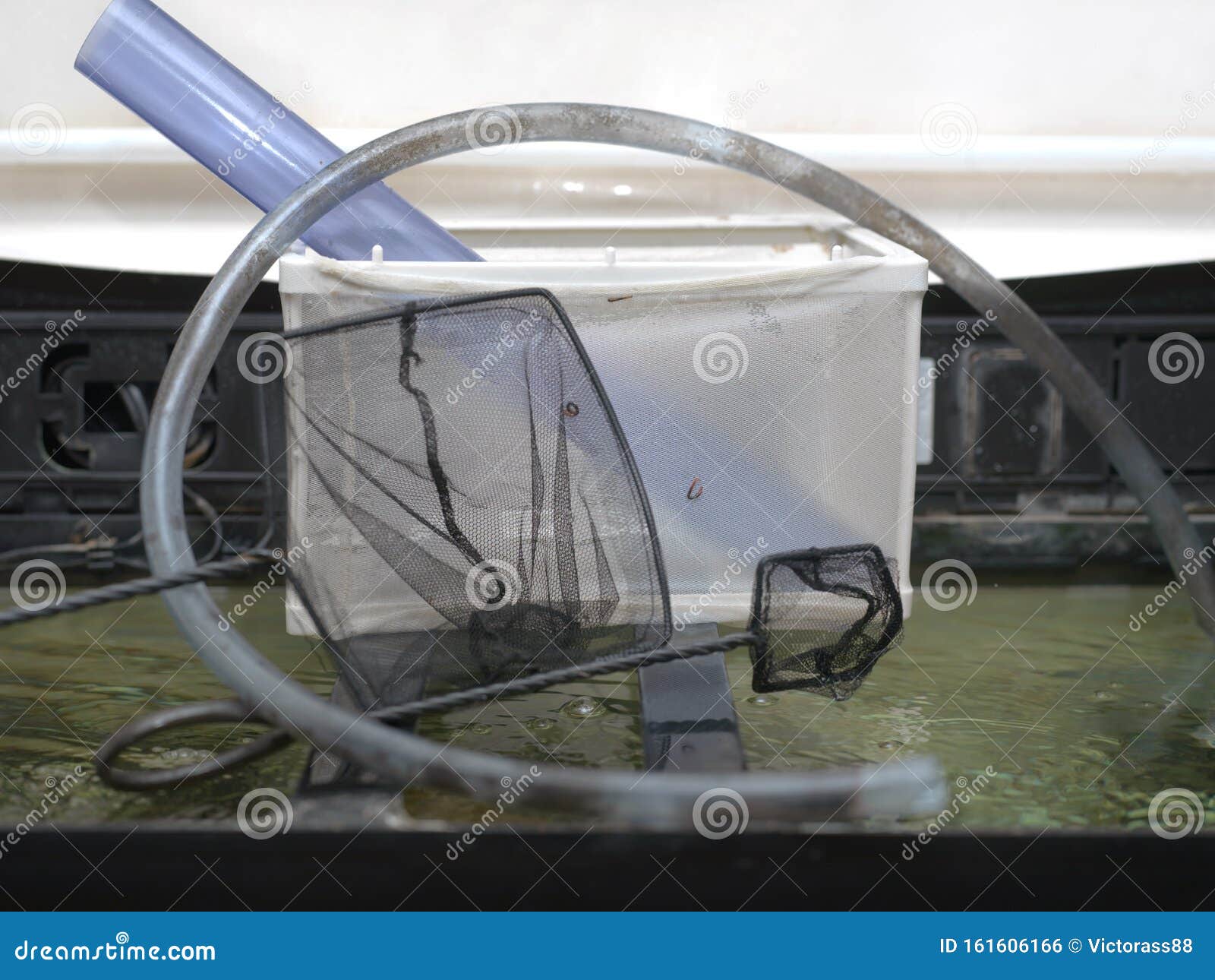 Equipment for Cleaning Fish Tank Stock Photo Image of vacuum, water