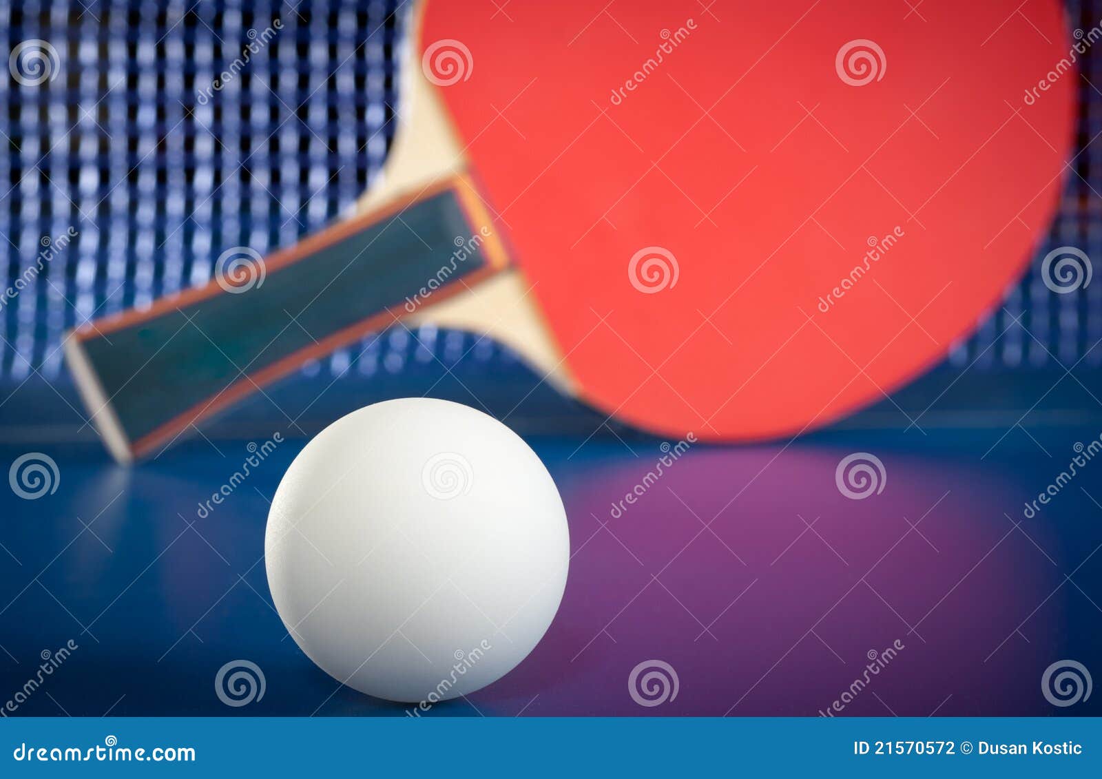 Equipment for table tennis stock photo. Image of pong 21570572
