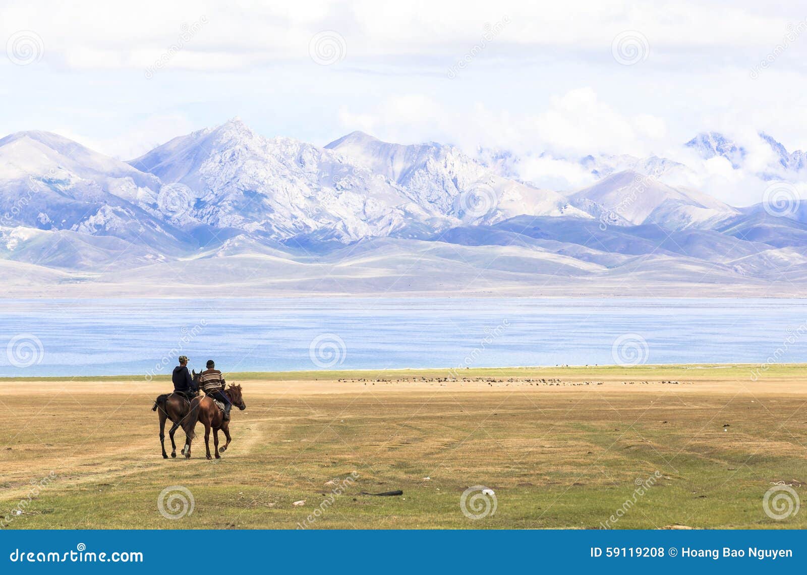 Jogo Do Cavalo No Lago Kul Da Música Em Quirguizistão Foto Editorial -  Imagem de campo, hélice: 59175586