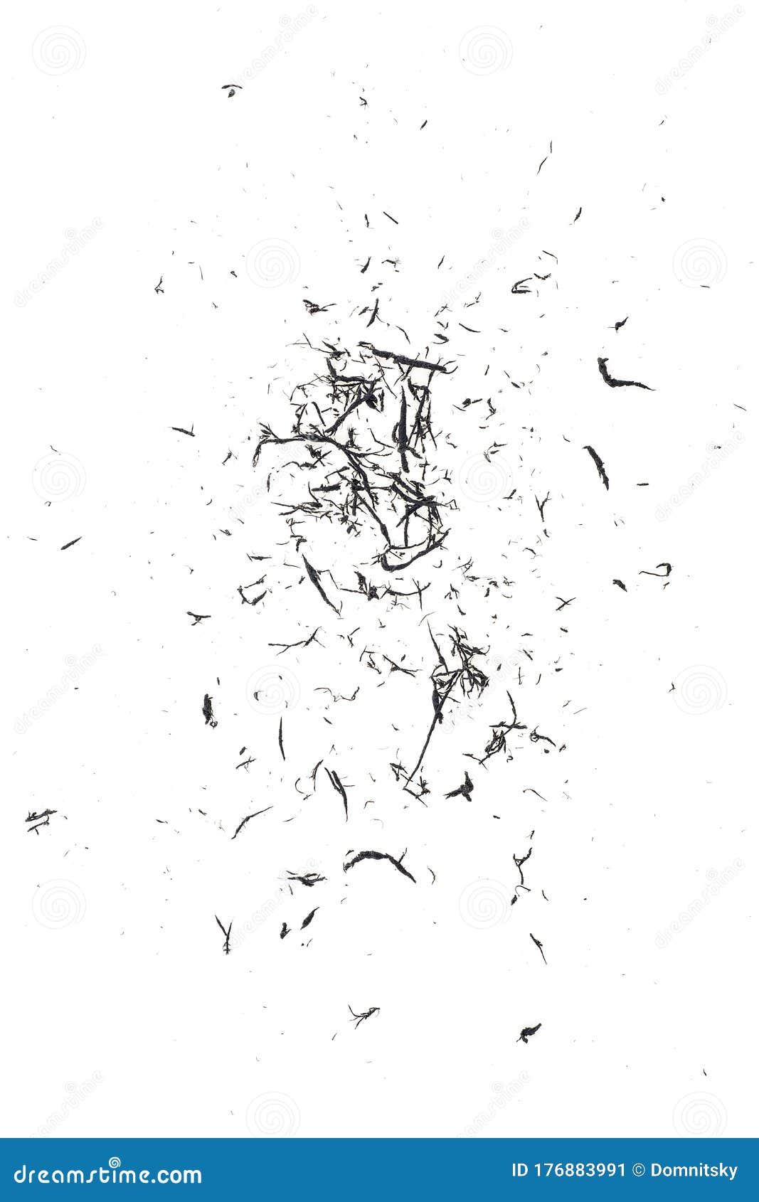 Eraser Scrap on White Background, Black Color. Top View Stock Image - Image  of dust, object: 176883991