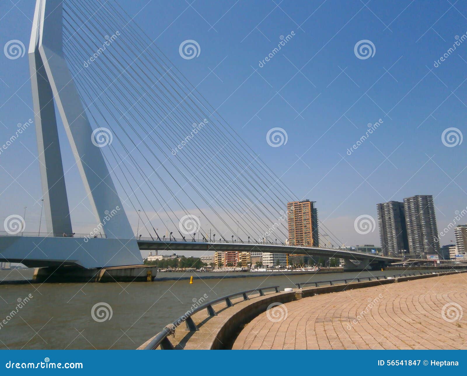 The Erasmus Bridge is a combined cable-stayed and bascule bridge in the centre of Rotterdam, connecting the north and south parts of this city, second largest in the Netherlands.