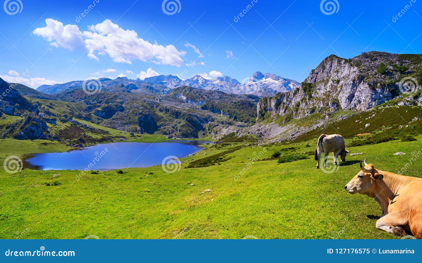 ercina lake at picos de europa in asturias spain