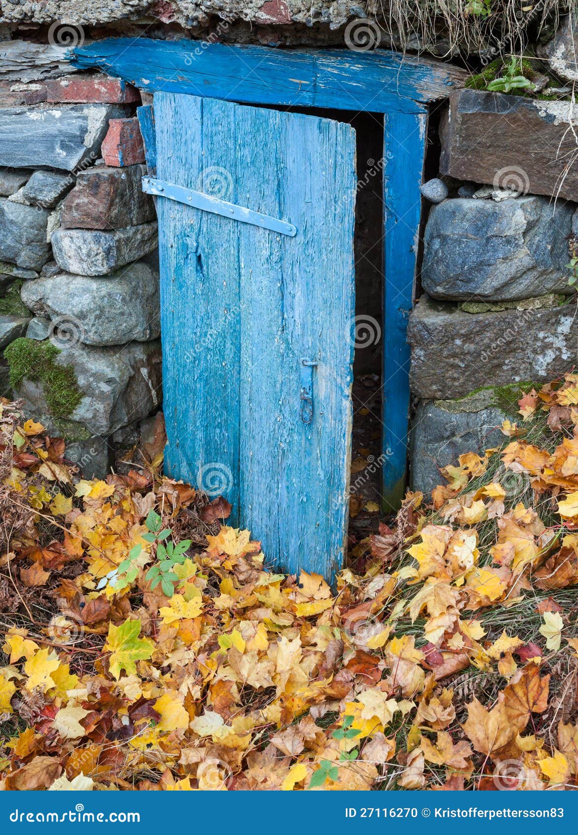 Erdekeller im Herbst. Alte rustikale blaue Tür in der Frontseite.