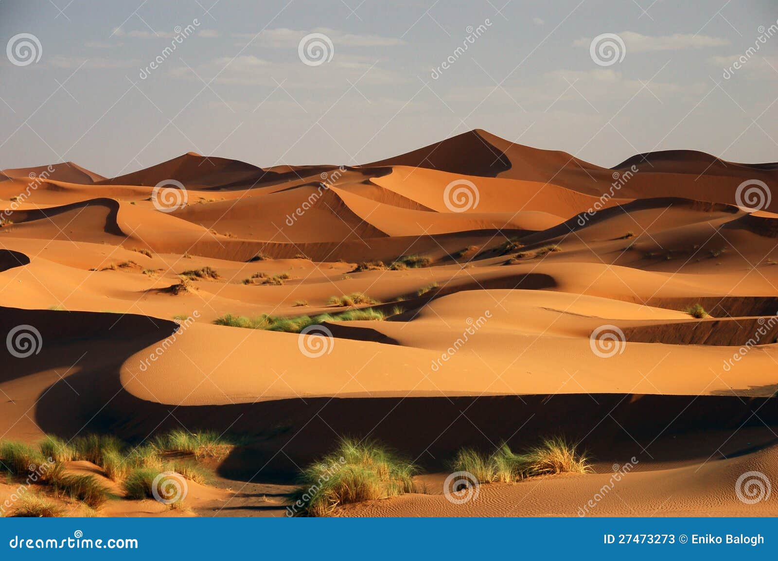 erg chebbi