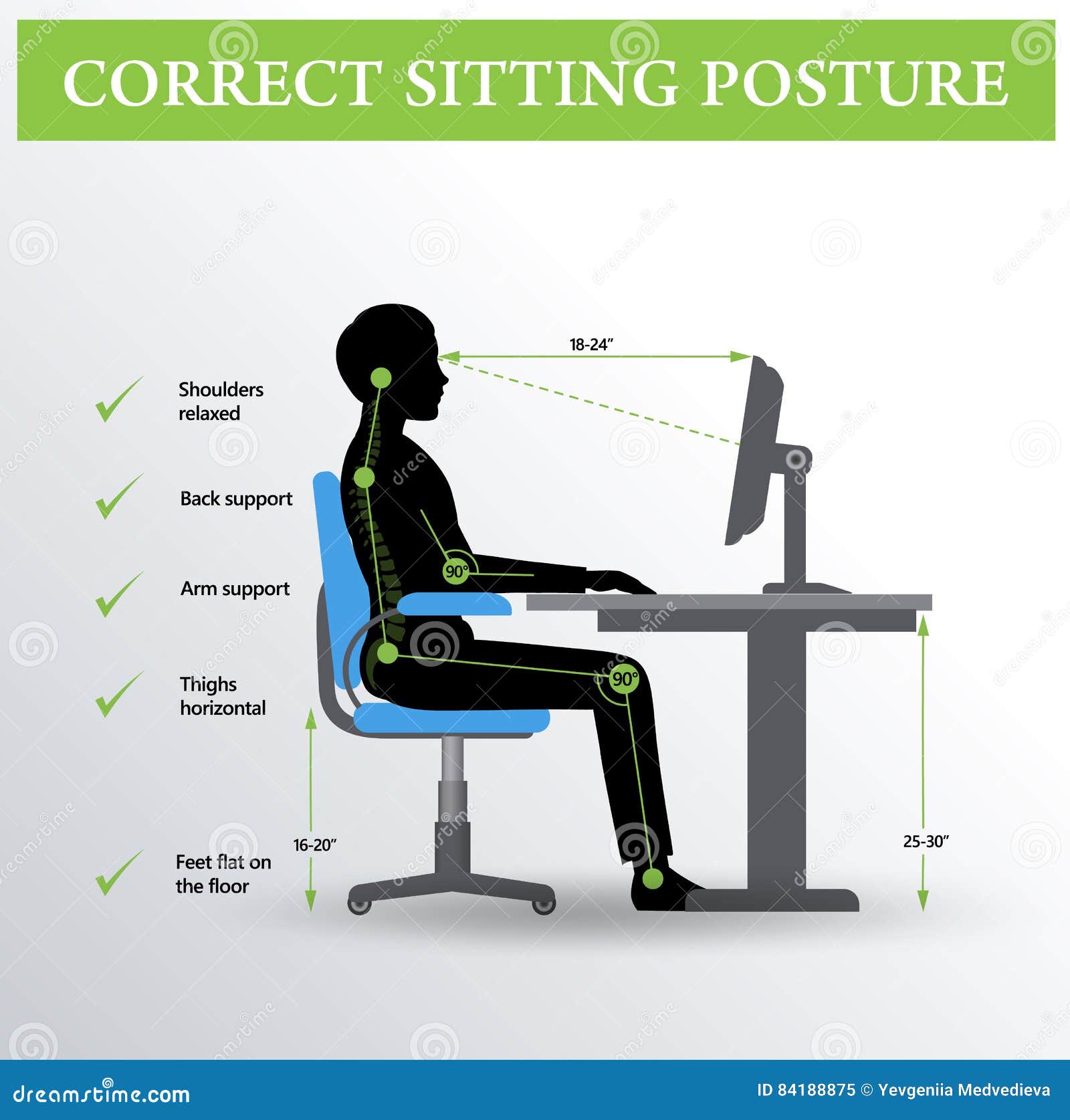 ergonomics. correct sitting posture
