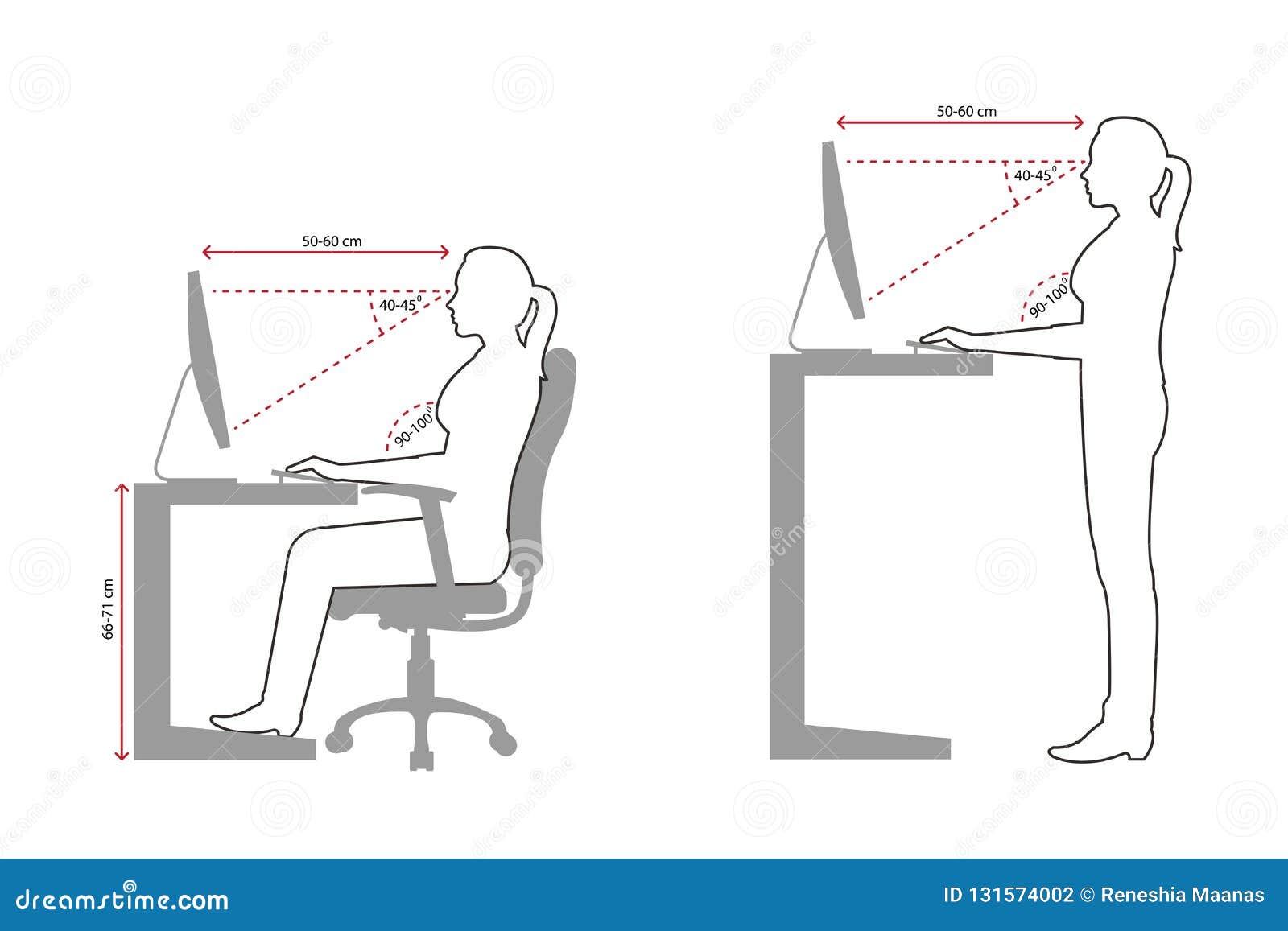 Ergonomics Line Drawing Of A Woman Correct Sitting And Standing