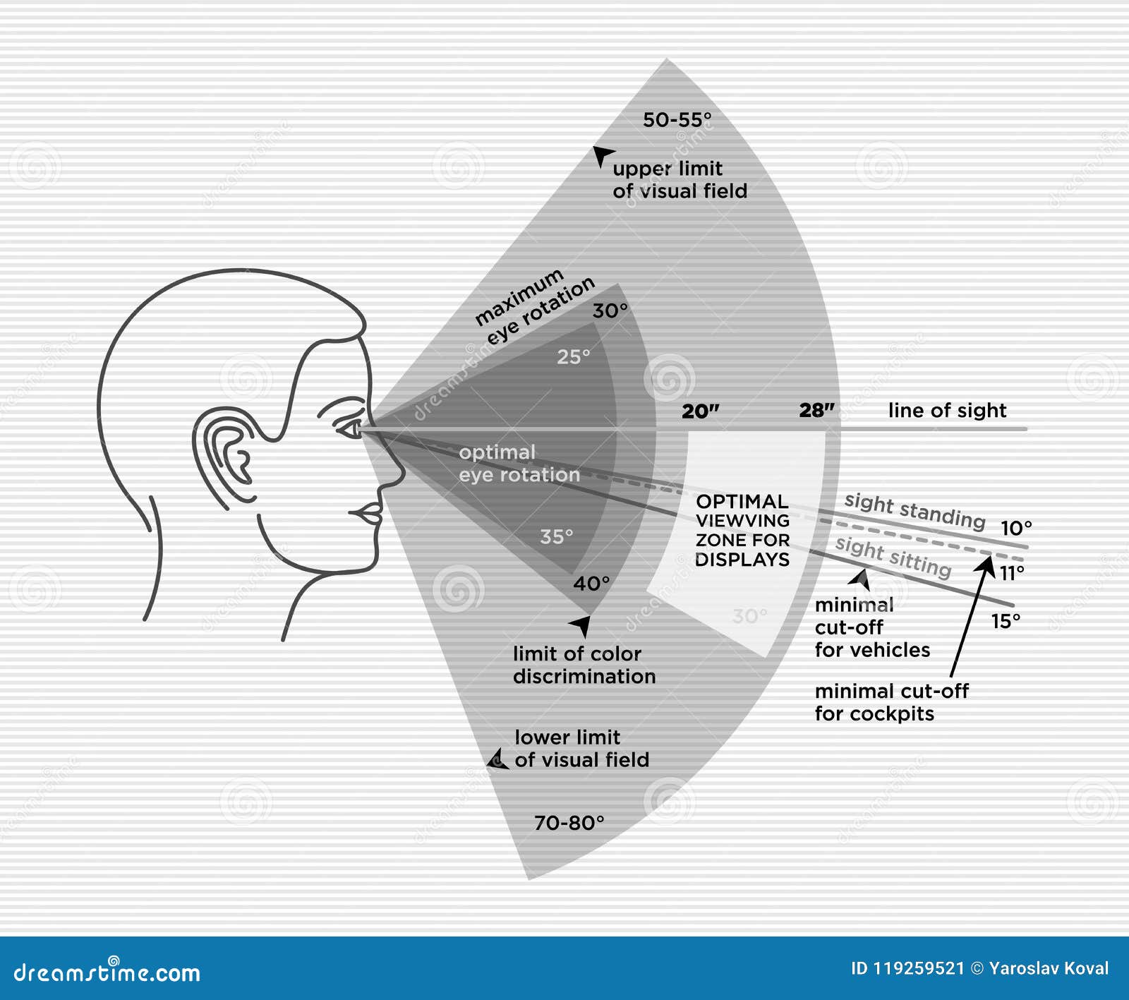 Ergonomics optimal angle view human sight range cartoon vector
