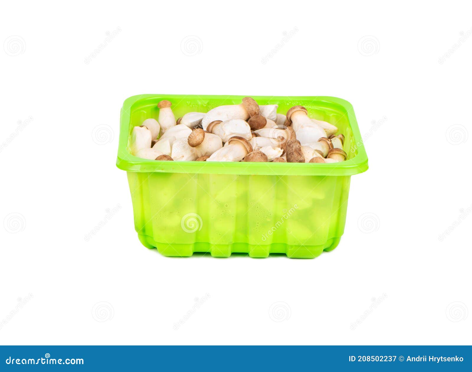 Eringi Mushrooms in Package Stock Image Image of life, freshness