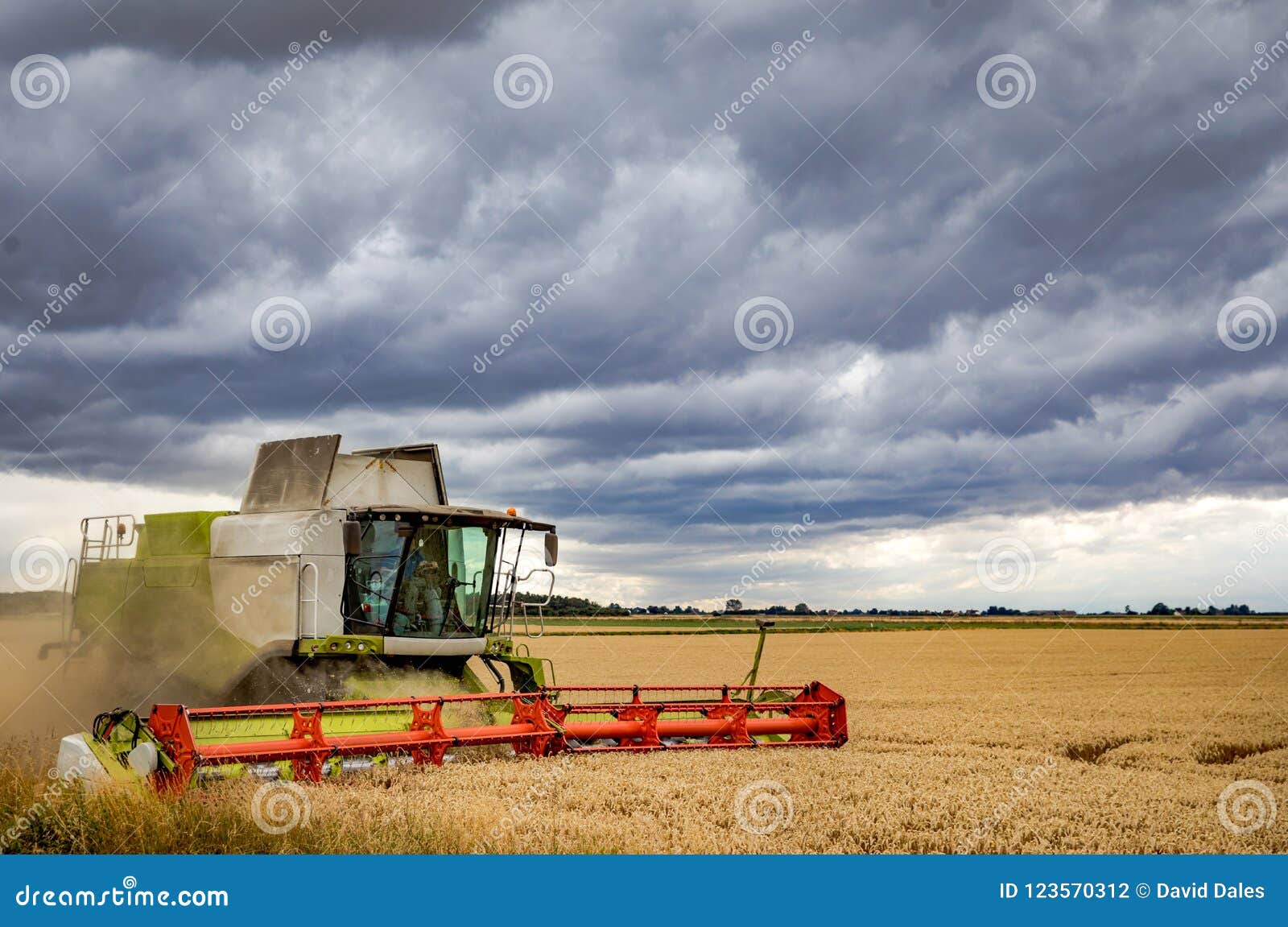 Ernten unter einem drohenden Himmel. Landwirte, die versuchen, das Wetter beim Ernten zu schlagen unter einem stürmischen schauenden Himmel, der Regen bedroht