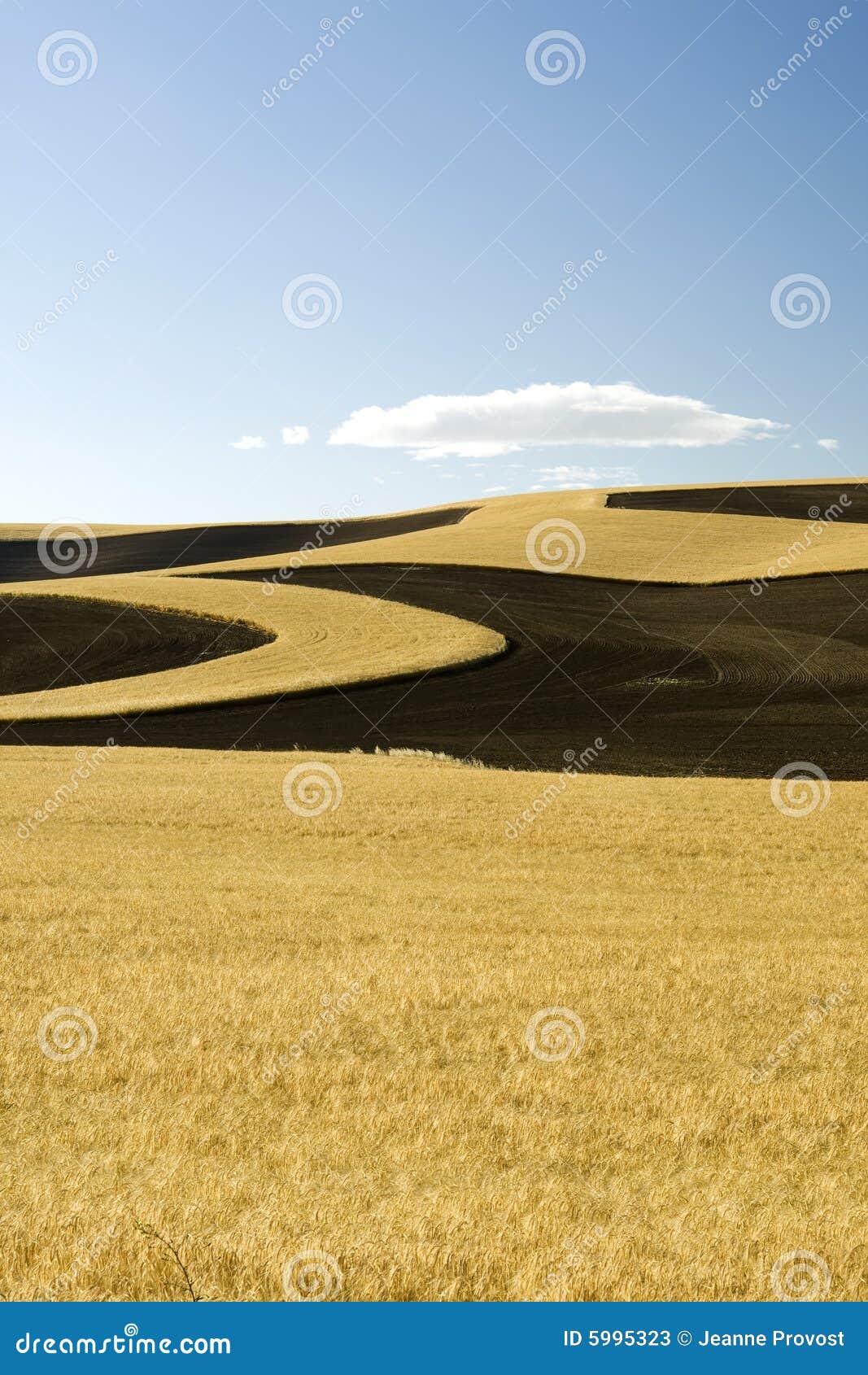 erosion controlled fields