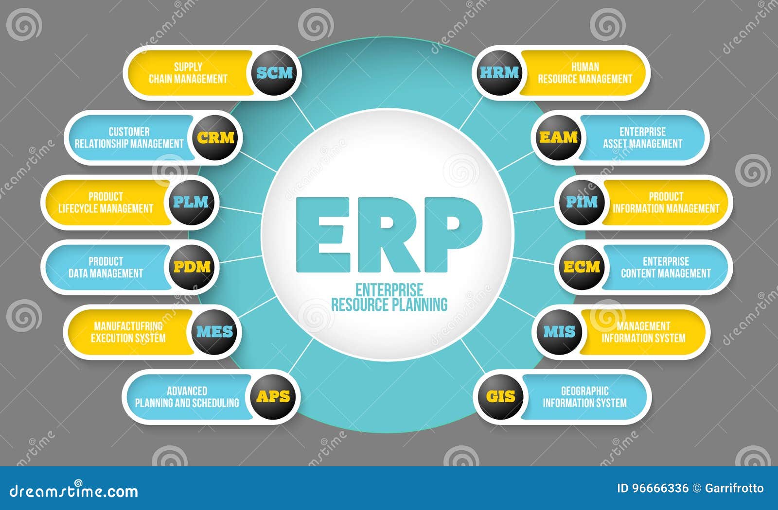 Enterprise Resource Planning Erp Systems Attempt