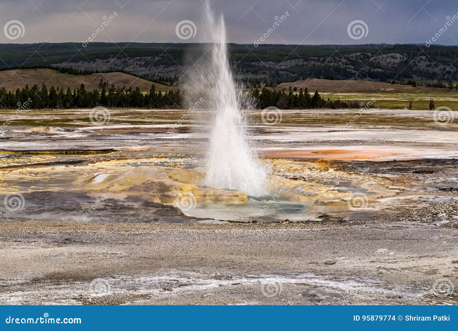 erupting clepsydra geyser in the lower geyser basin in yellowstone national park