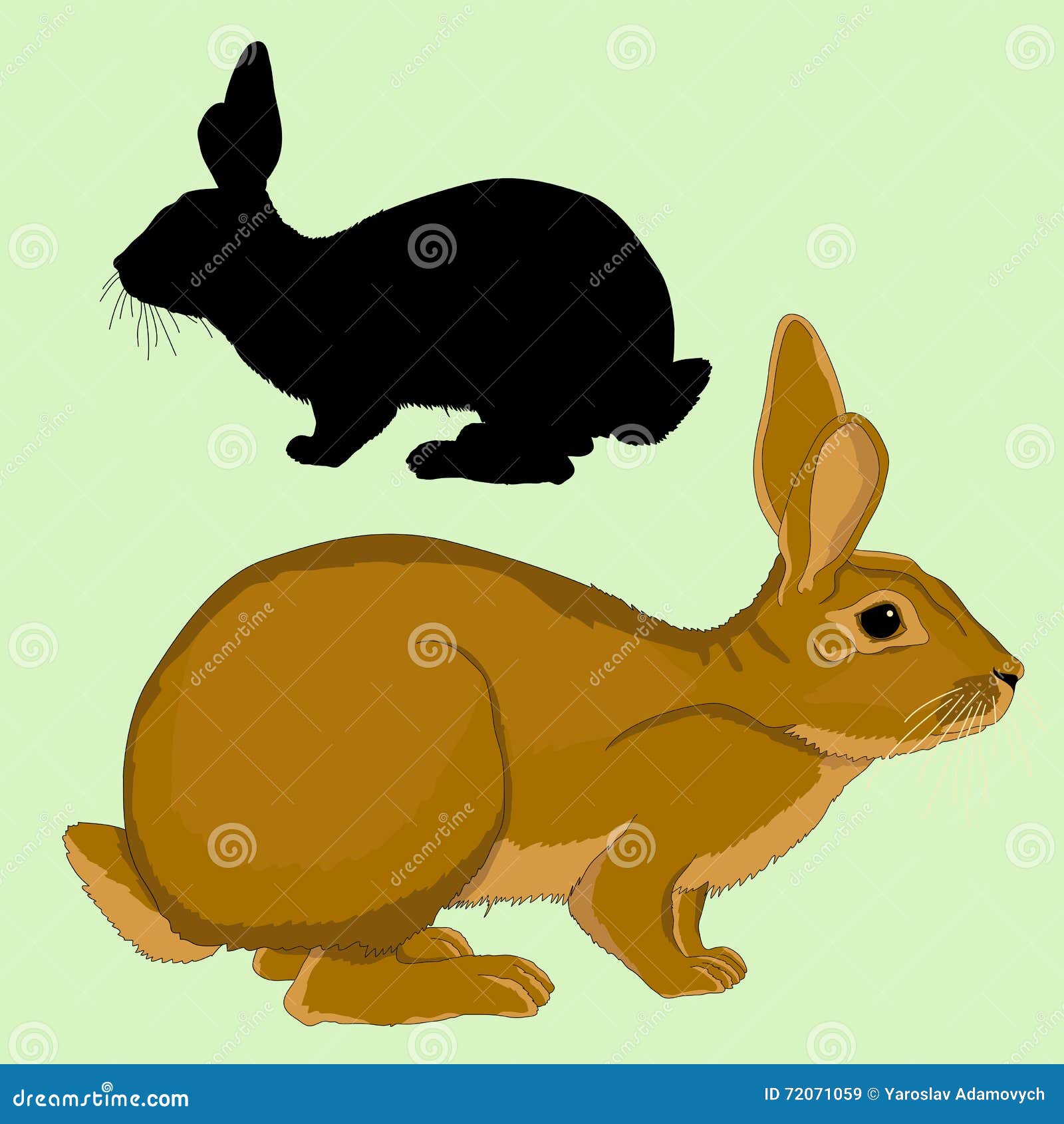 Erwachsenes Schwarzes Schattenbild Der Hasen Realistisch