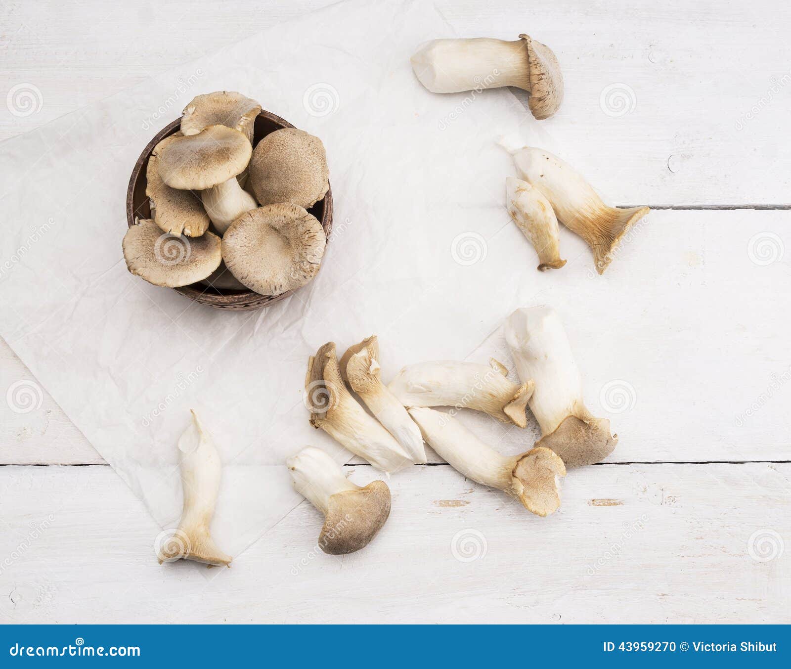 EryngiiPilze auf Weißbuch stockfoto. Bild von gesund 43959270