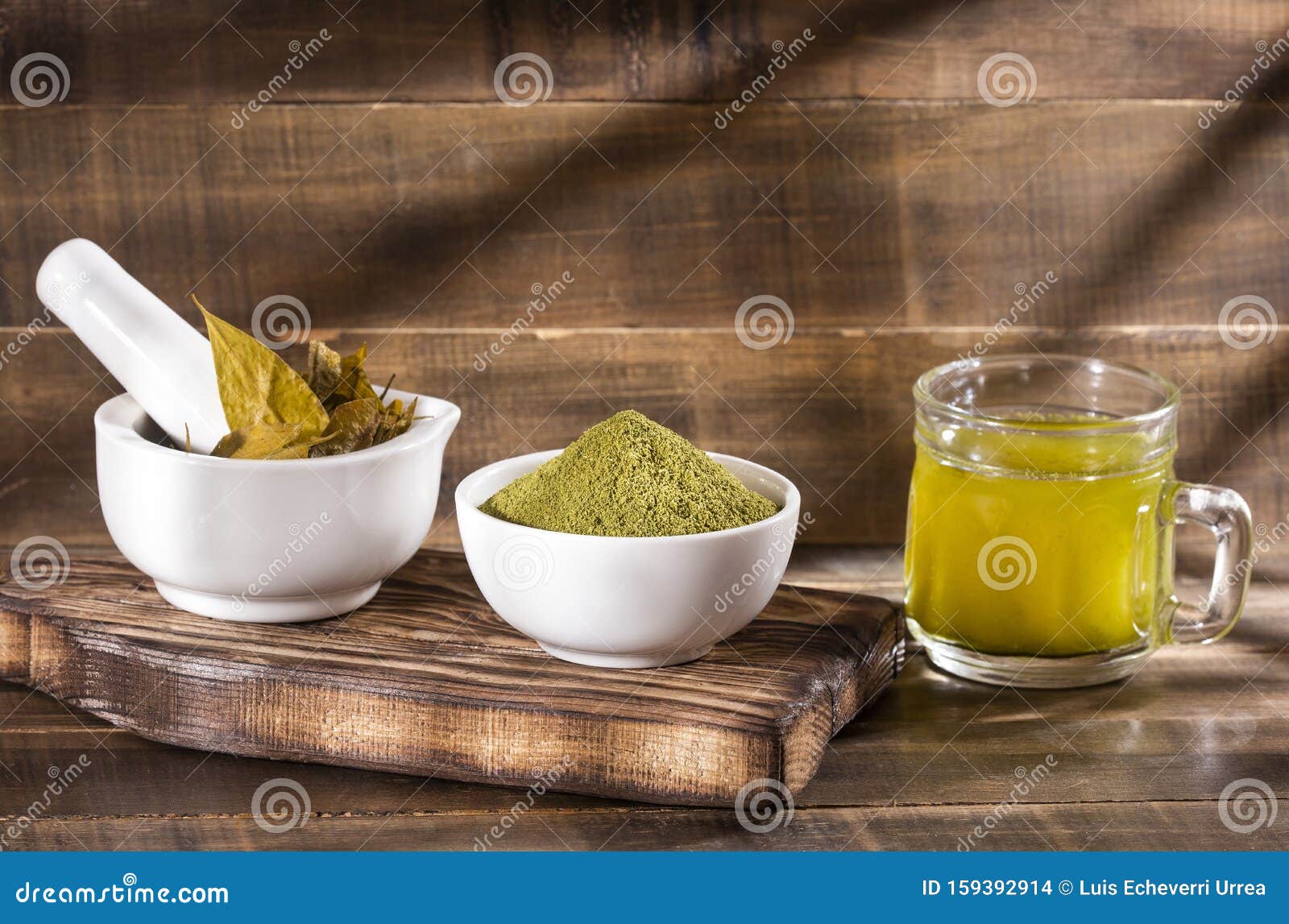 Erythroxylum Coca Coca Tea and Leaves Stock Photo Image of bolivia