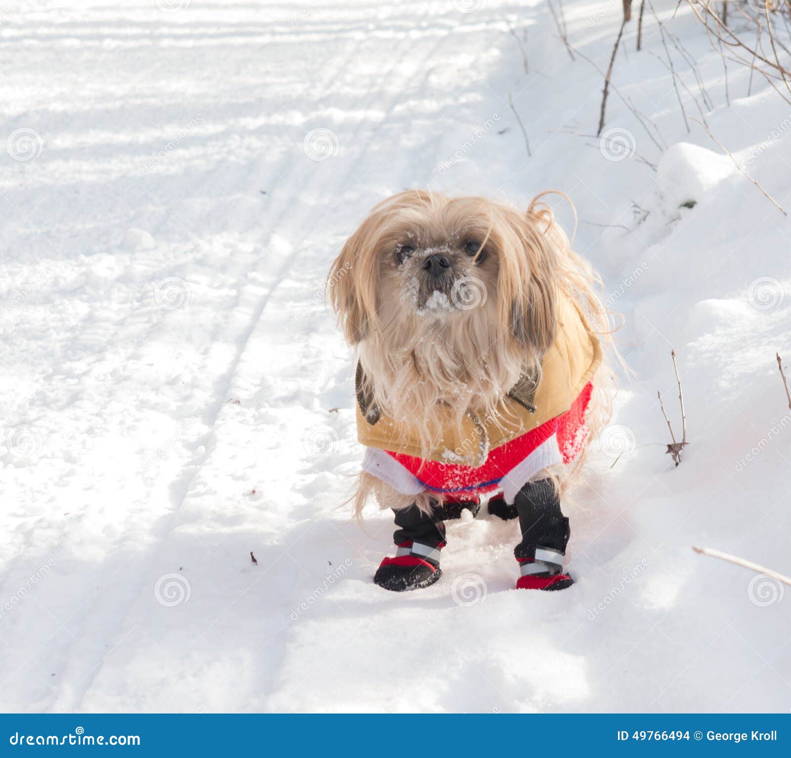 Es ist heraus hier kalt stockfoto. Bild von strickjacke - 49766494