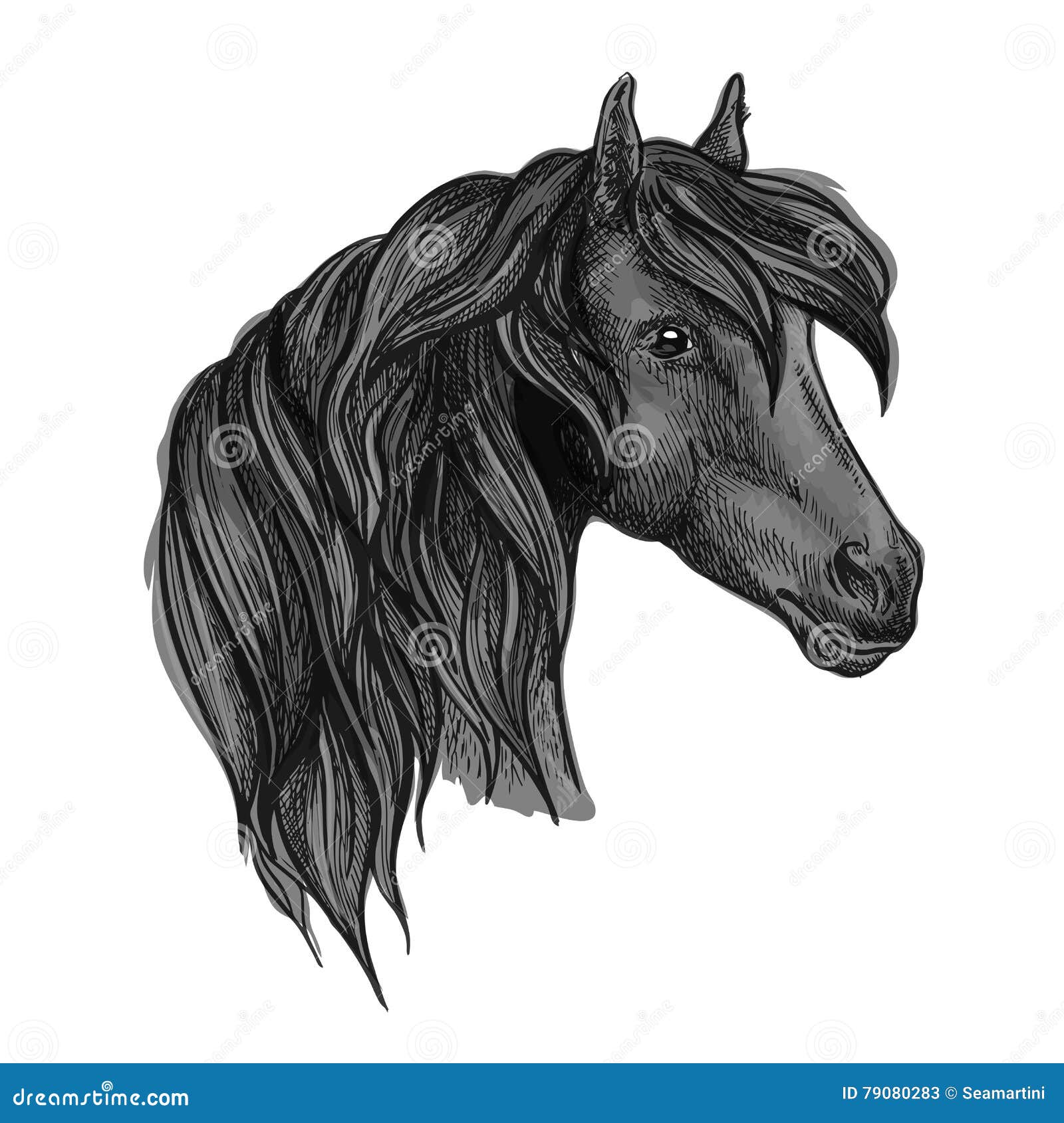 equino  Esboço cavalo, Pintura animal, Coisas simples para desenhar