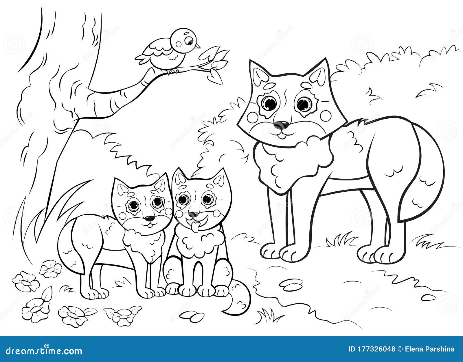 Desenho de Animal médico - raposas e gato para colorir