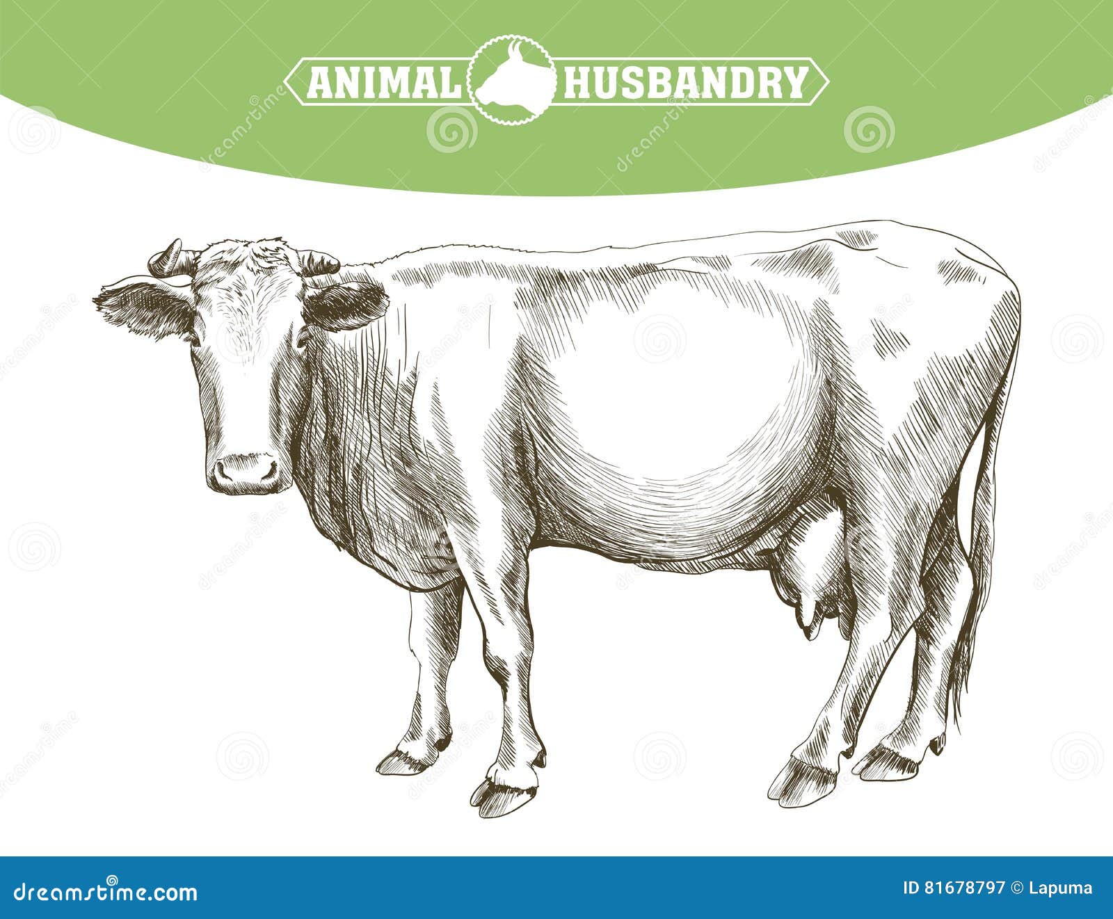 Gado desenho gráficos escaláveis, esboço de vaca, ângulo, texto png | PNGEgg