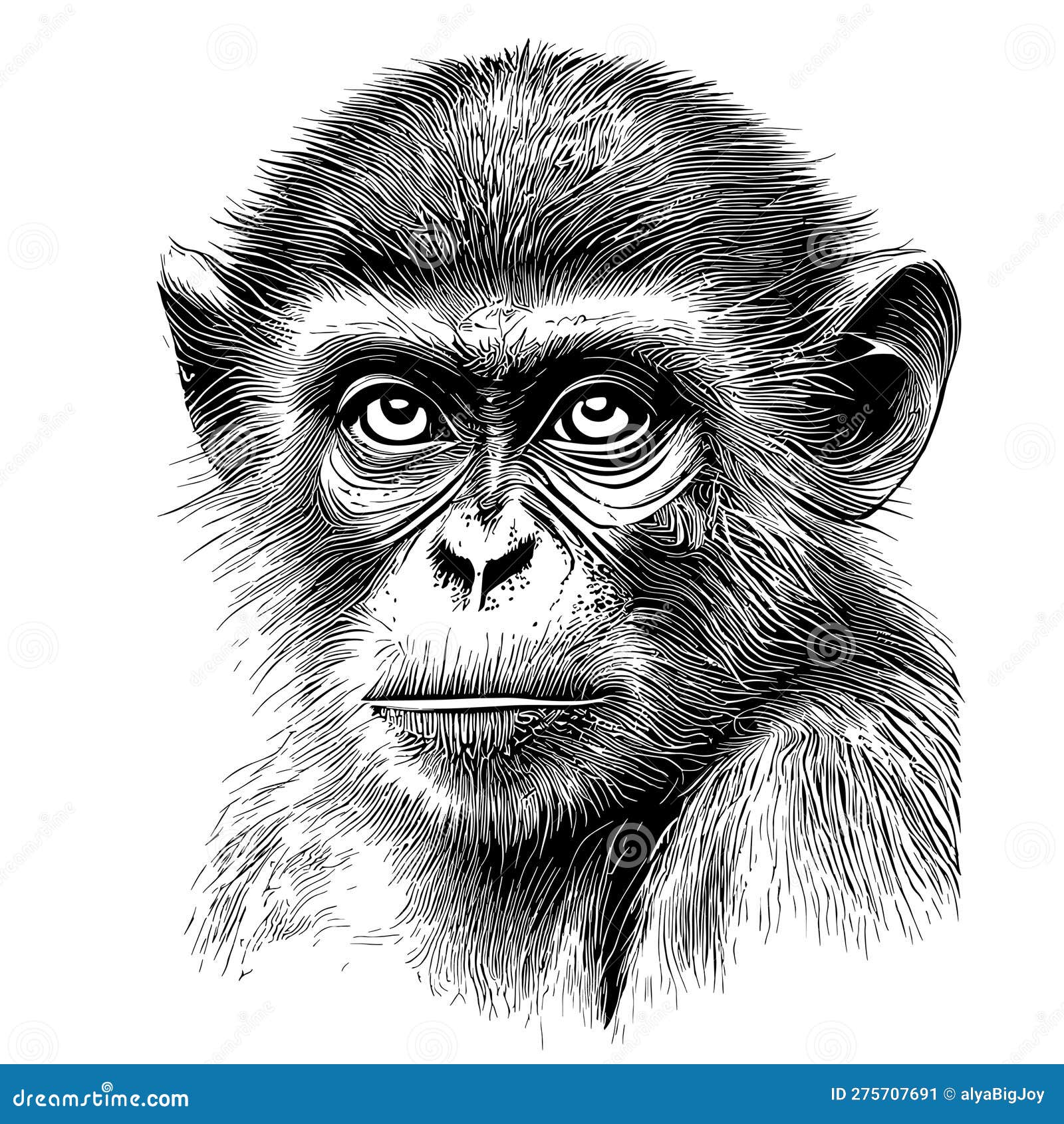 Macaco desenho desenho macaco, macaco alegre, animais, mão