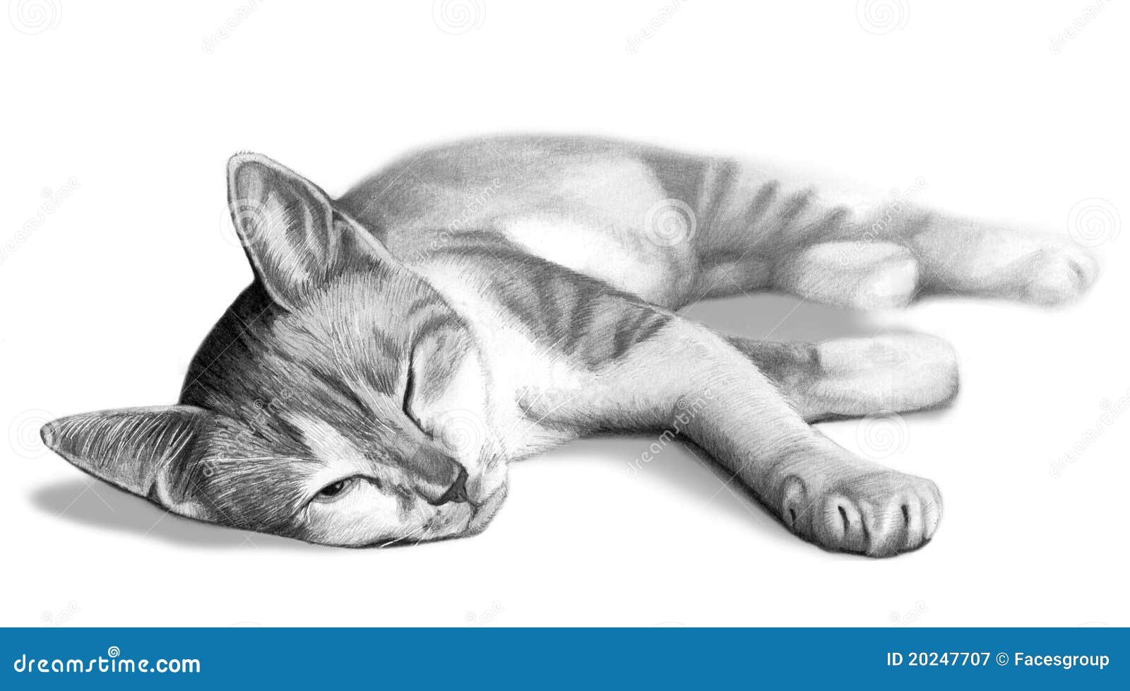 Adolescente Novo Bonito, E Gato Estilo Do Esboço Do Vintage Do Desenho Esboço Para A Tatuagem, Cópia Isolada No T-shirt Mágico, M Ilustração Stock - Ilustração de estilo, cópia: 121615042