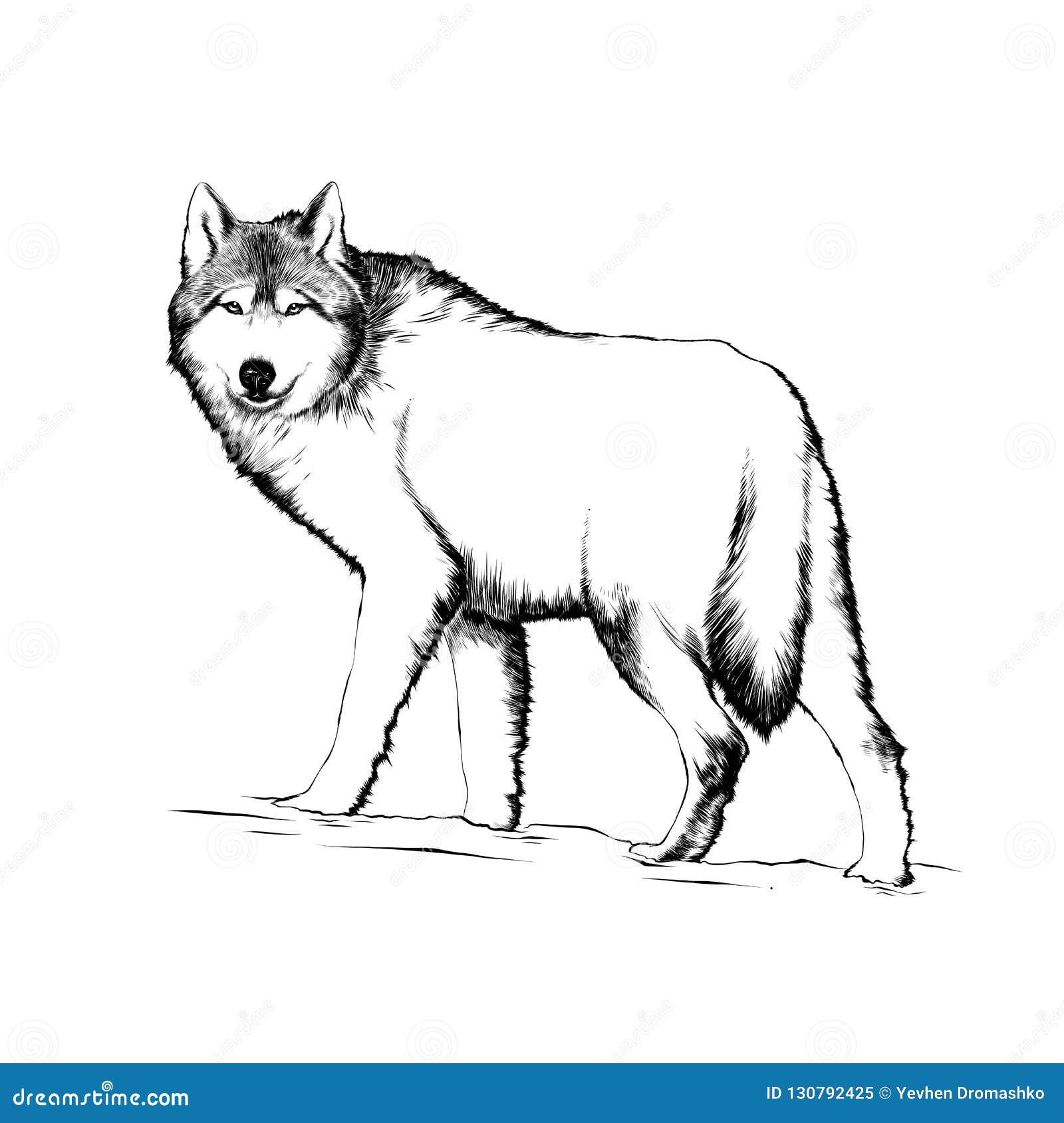 Featured image of post Desenho De Lobo Em Preto E Branco Desenhos de among us para colorir