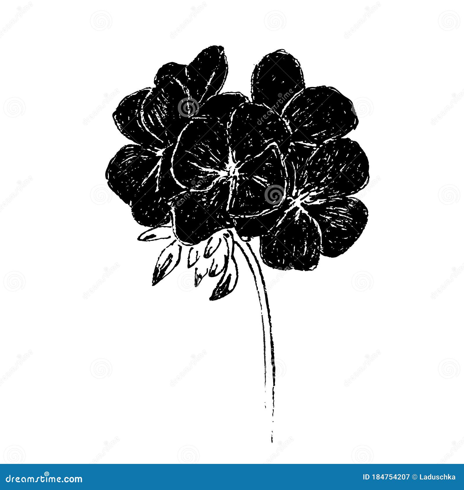 Esbozo De Flores De Geranio. Ilustración del Vector - Ilustración de flores, travieso: 184754207 Esbozo De Flores De Geranio. Ilustración del Vector - Ilustración de flores, travieso: 184754207
